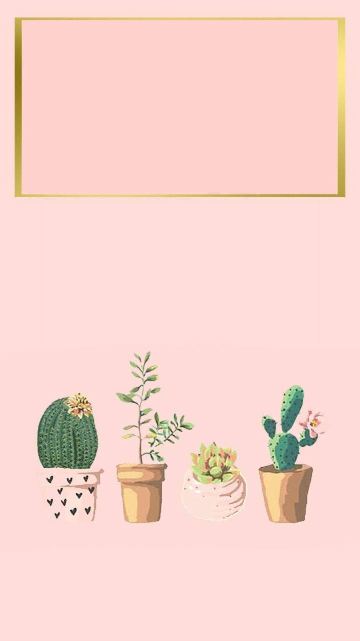 Pastel Cactus Pink Blank Canvas Greeting Mobile Wallpaper