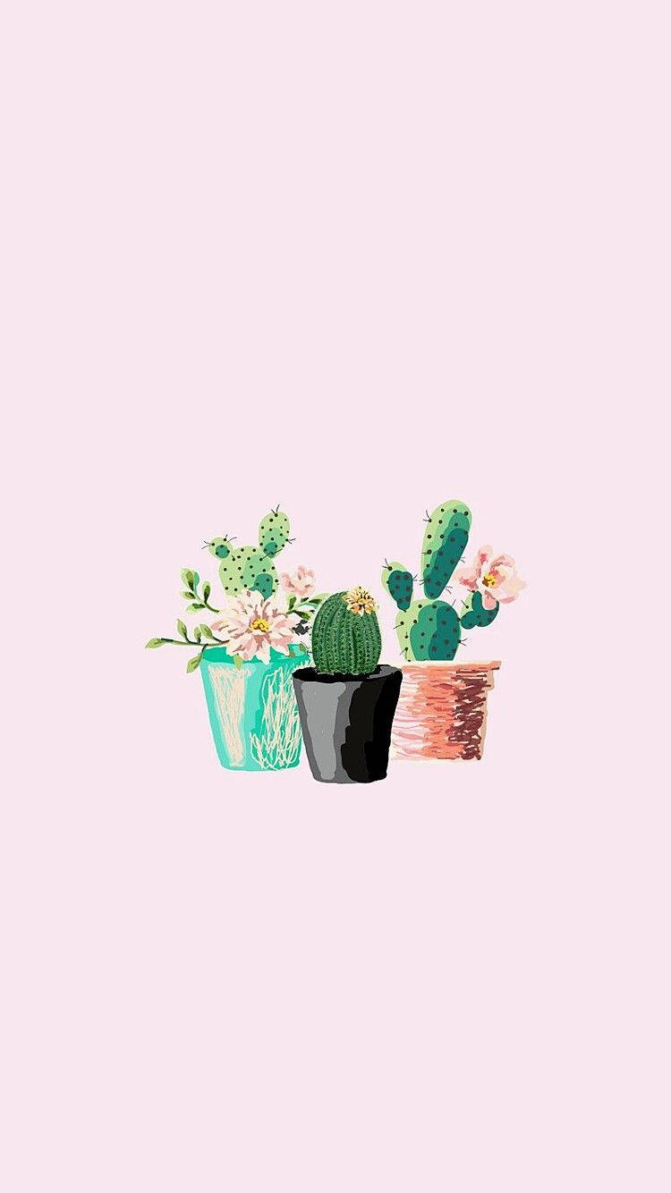 Pastel Cactus Pink Minimal Mobile Wallpaper