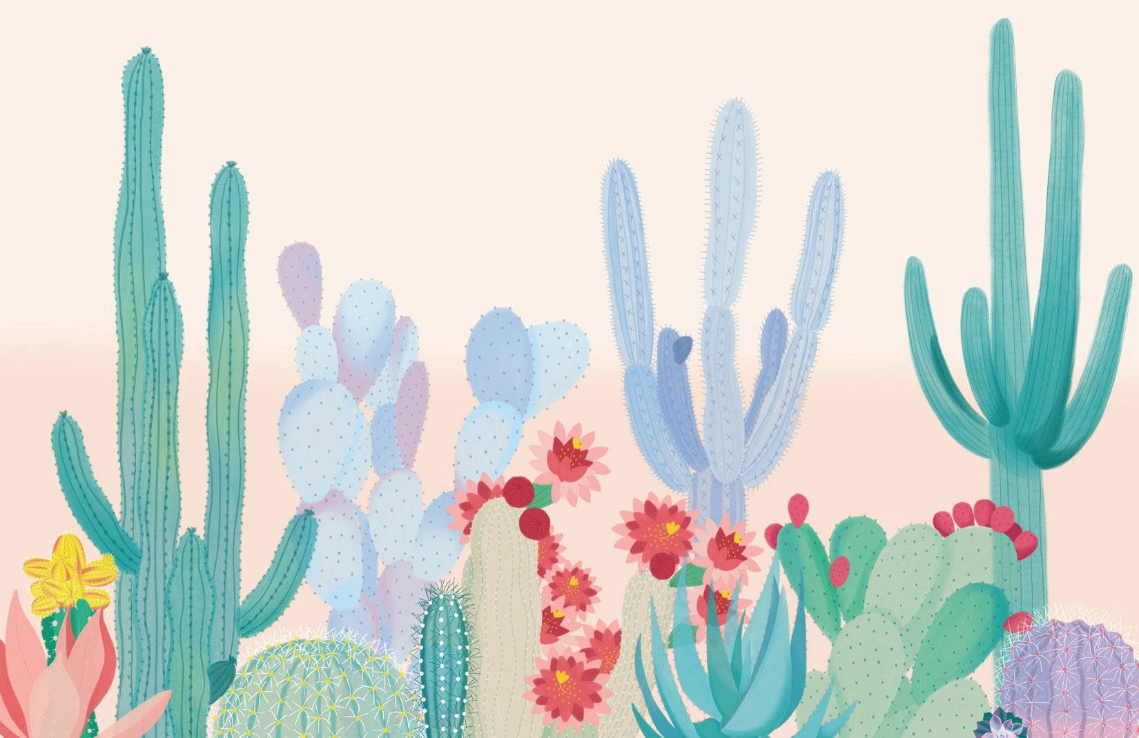 Pastel Cactus Variety Plant Desktop Wallpaper
