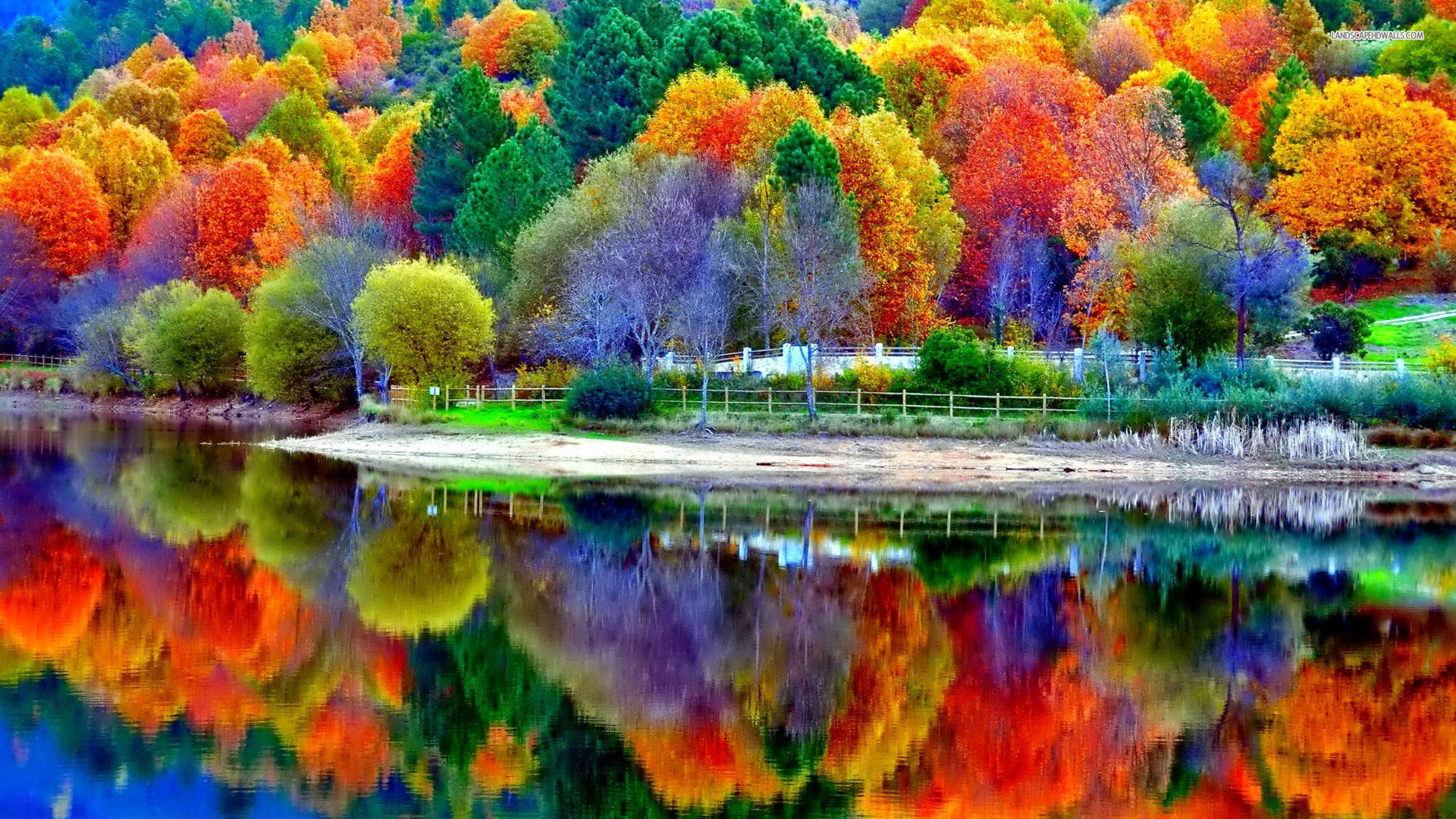Pastel Coloured Trees Beautiful Autumn Desktop Wallpaper