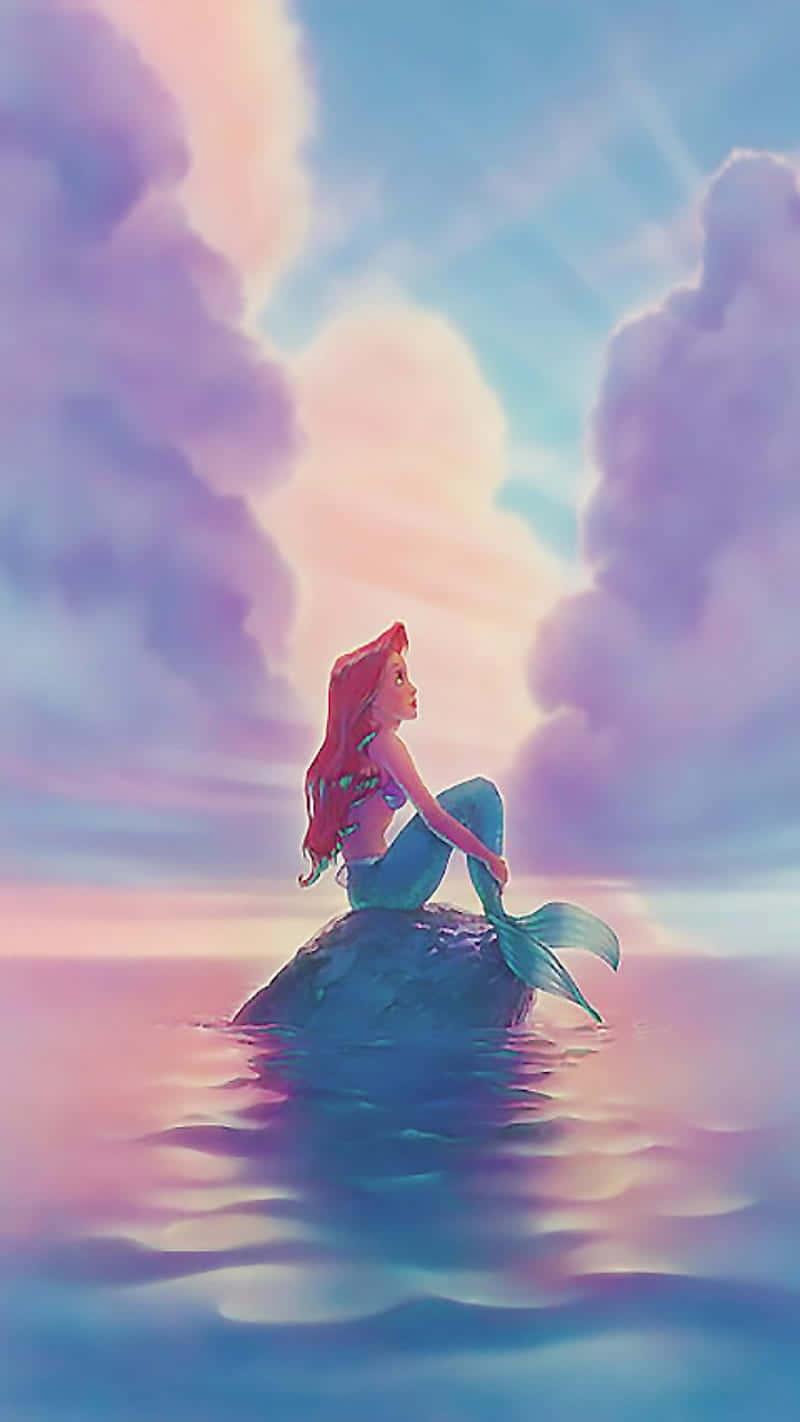 Arielsitzt Auf Einem Felsen Bei Einem Schönen Sonnenuntergang. Wallpaper
