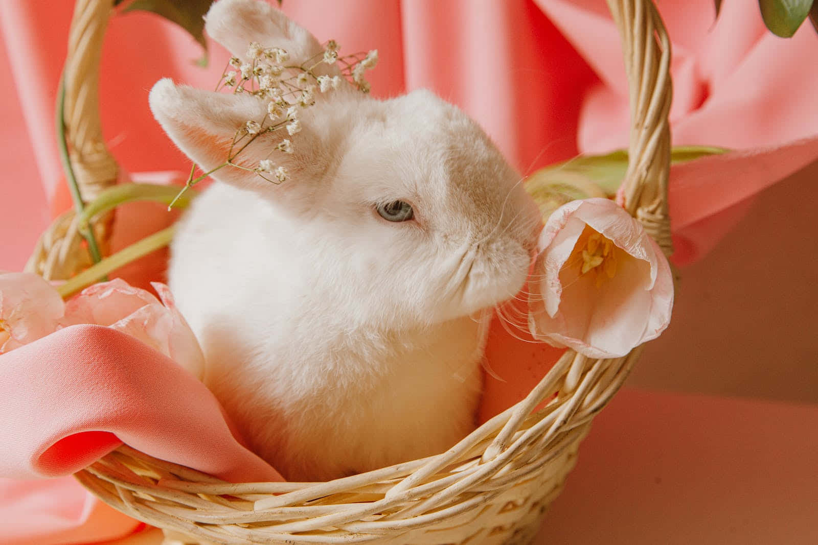 A White Rabbit In A Basket With Flowers Wallpaper