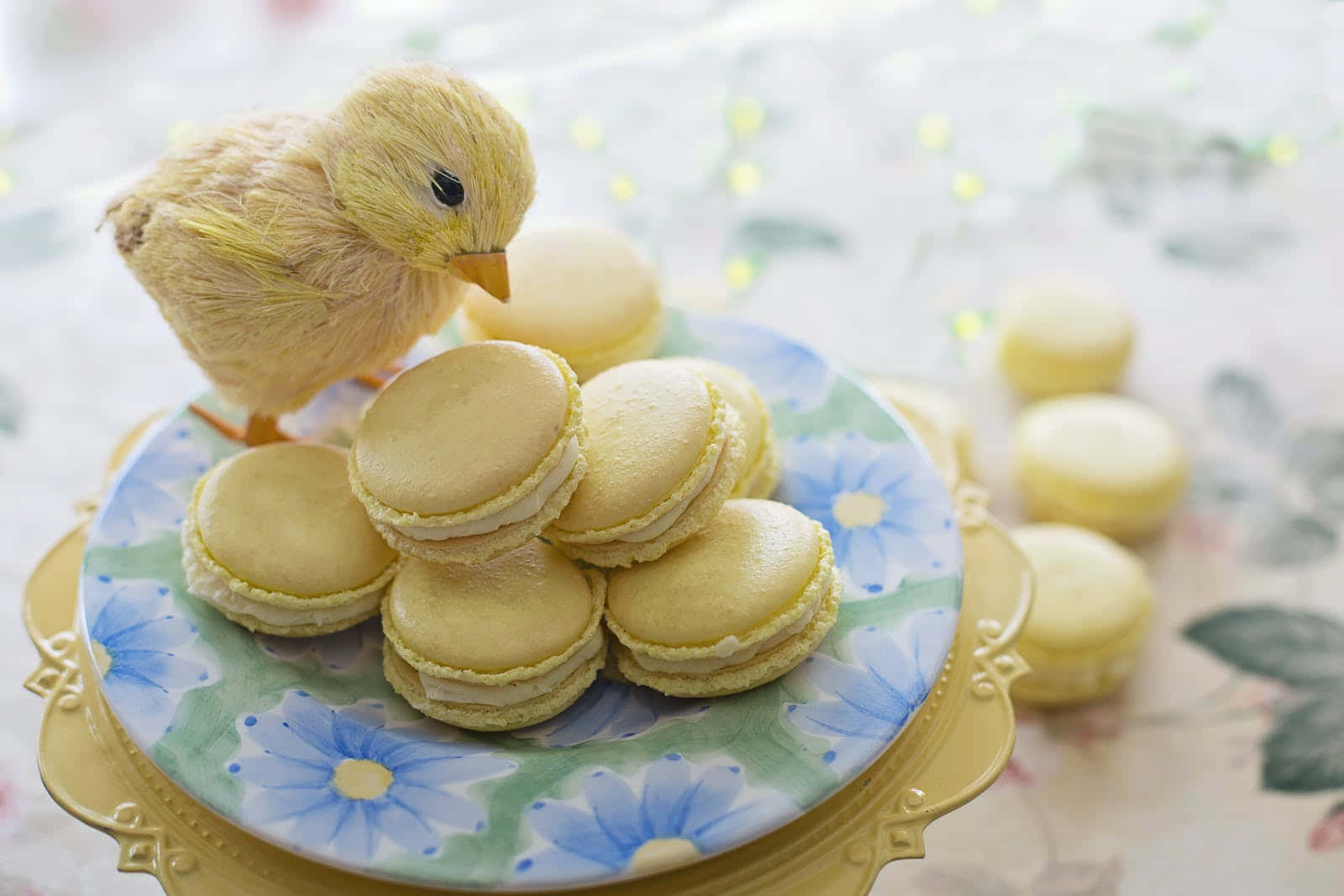 Eingelbes Huhn Sitzt Auf Einem Teller Mit Macarons. Wallpaper