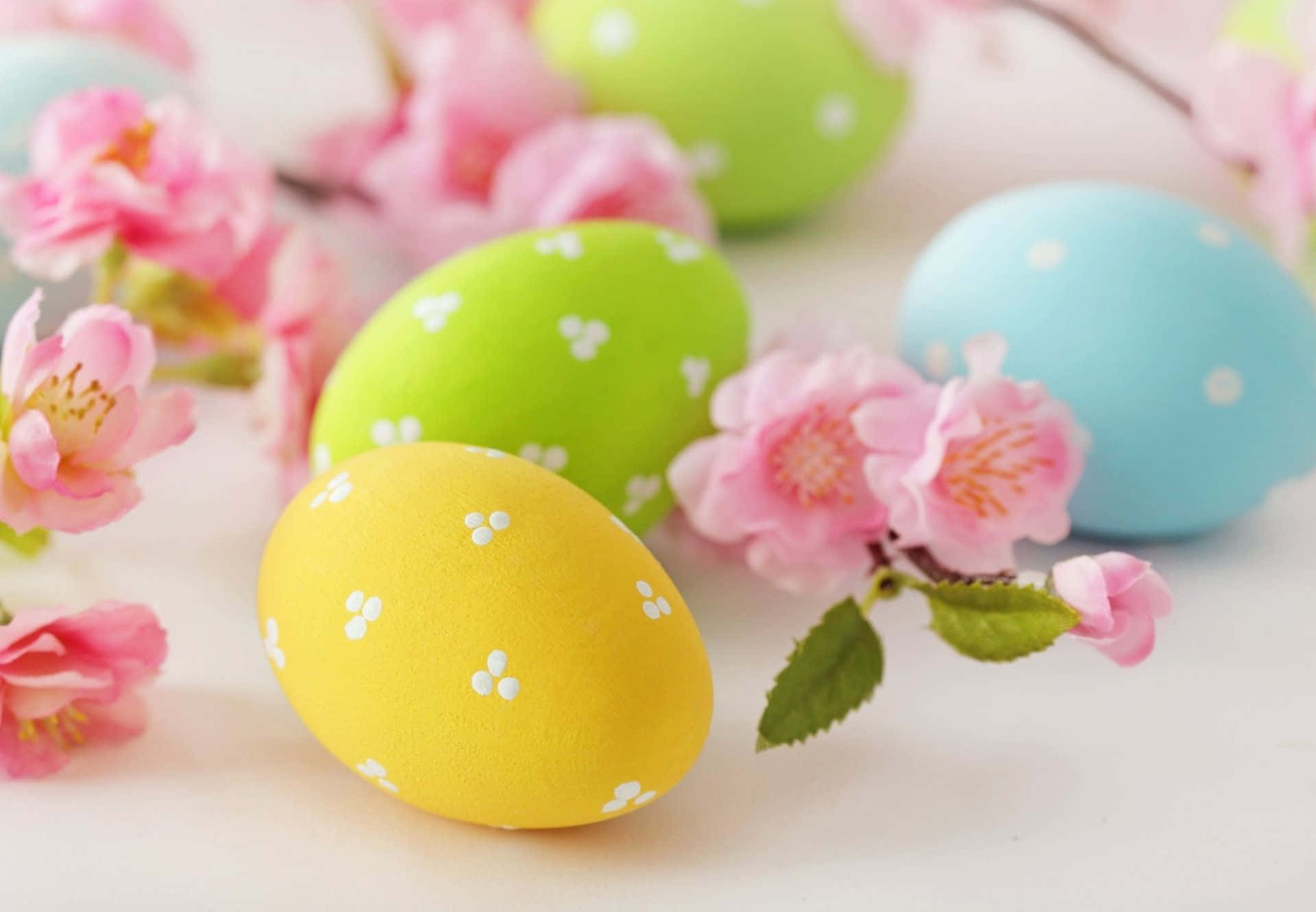 Celebrate Easter in Style with Pastel Colors