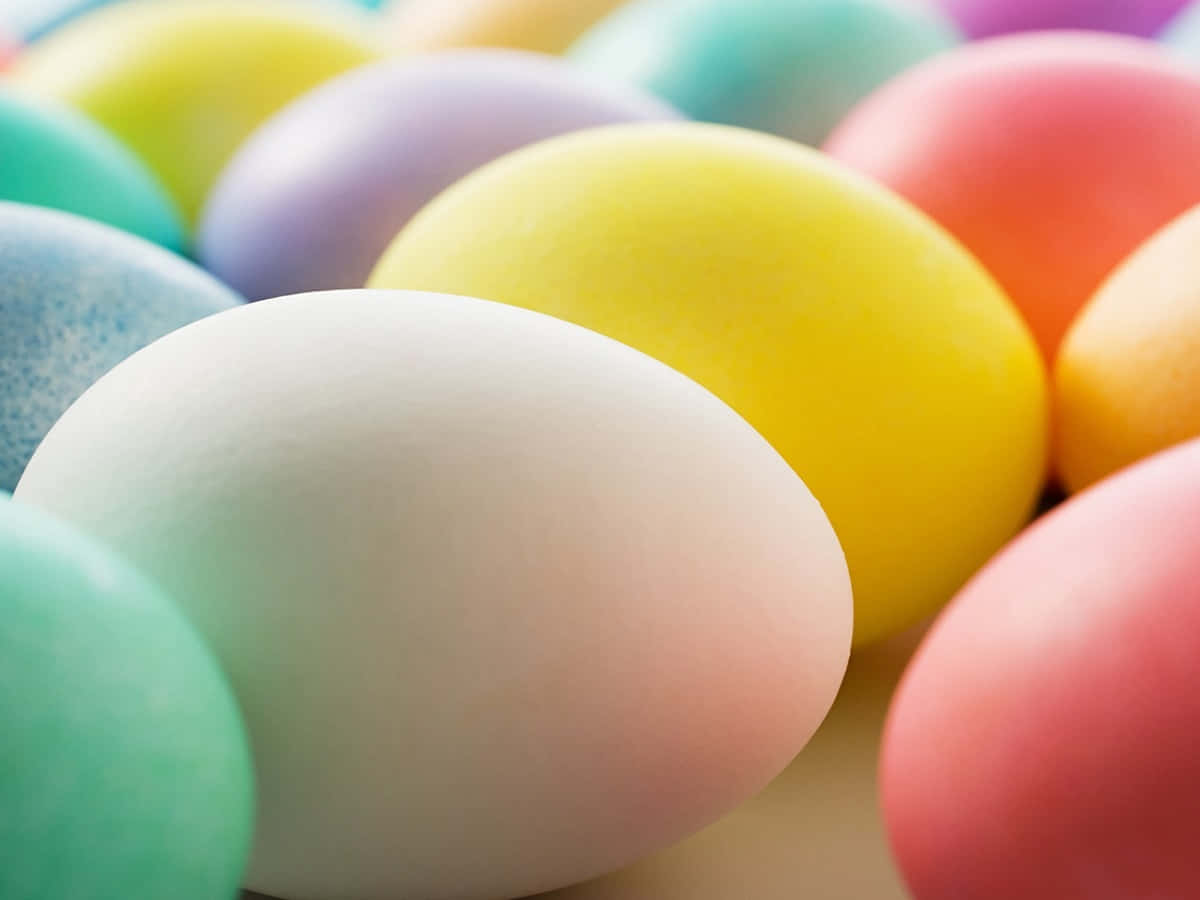 Celebrate Easter in style with beautiful pastel decorations