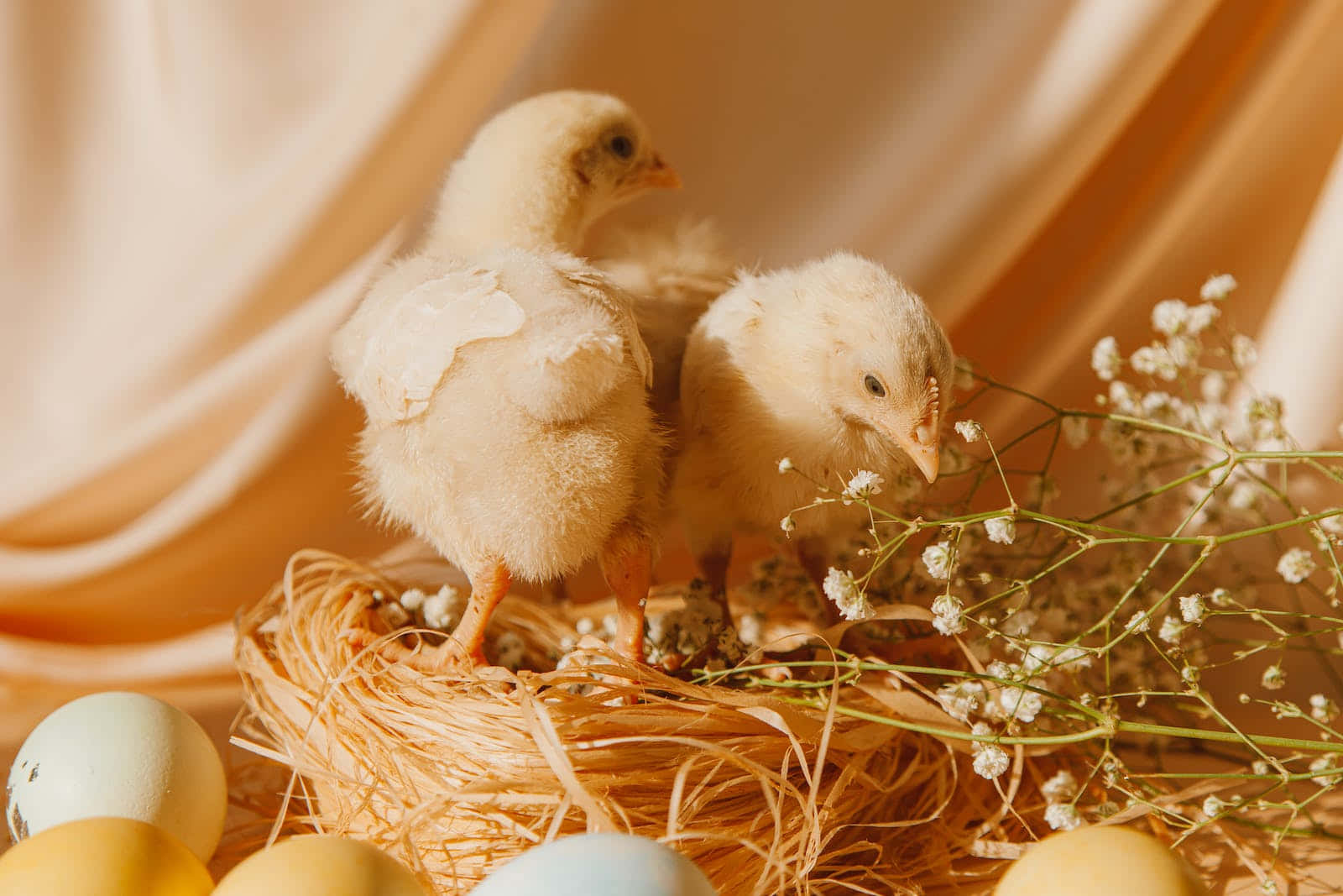 Brillanteshuevos De Pascua En Tonos Pasteles Dispuestos En Un Patrón Degradado. Fondo de pantalla