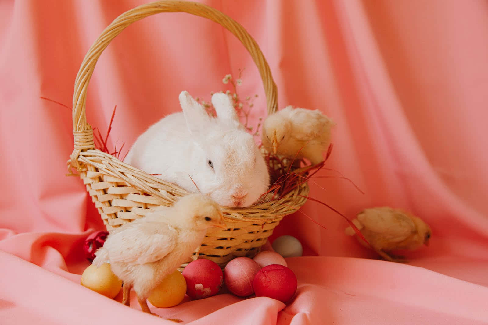 ¡celebraesta Pascua Con Un Tema Colorido En Tonos Pastel! Fondo de pantalla