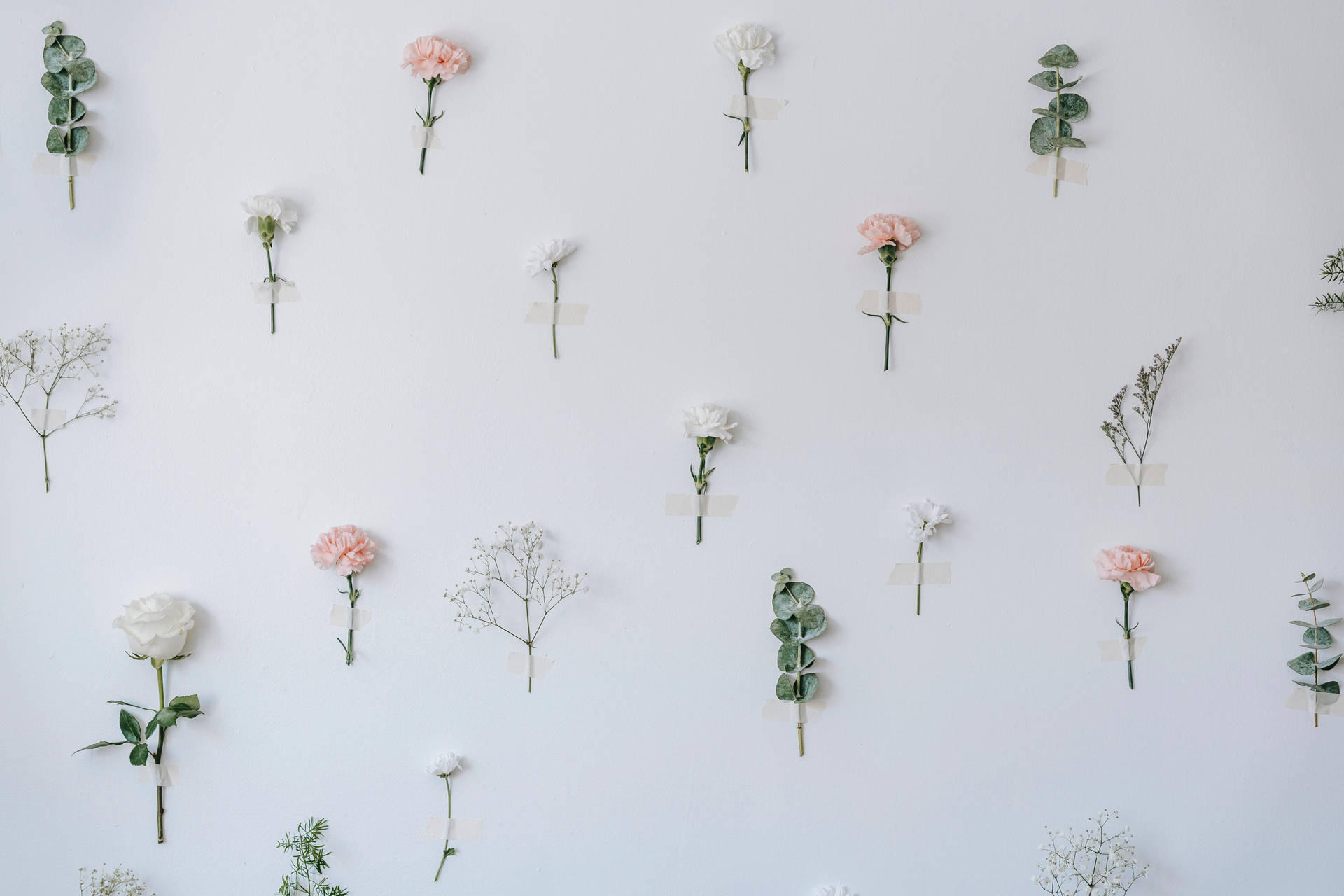 Three Soft & Delicate Pastel Flowers Wallpaper