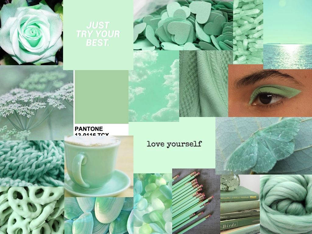 Få dit arbejde gjort med stil med en pastelfarvet grøn æstetisk bærbar. Wallpaper