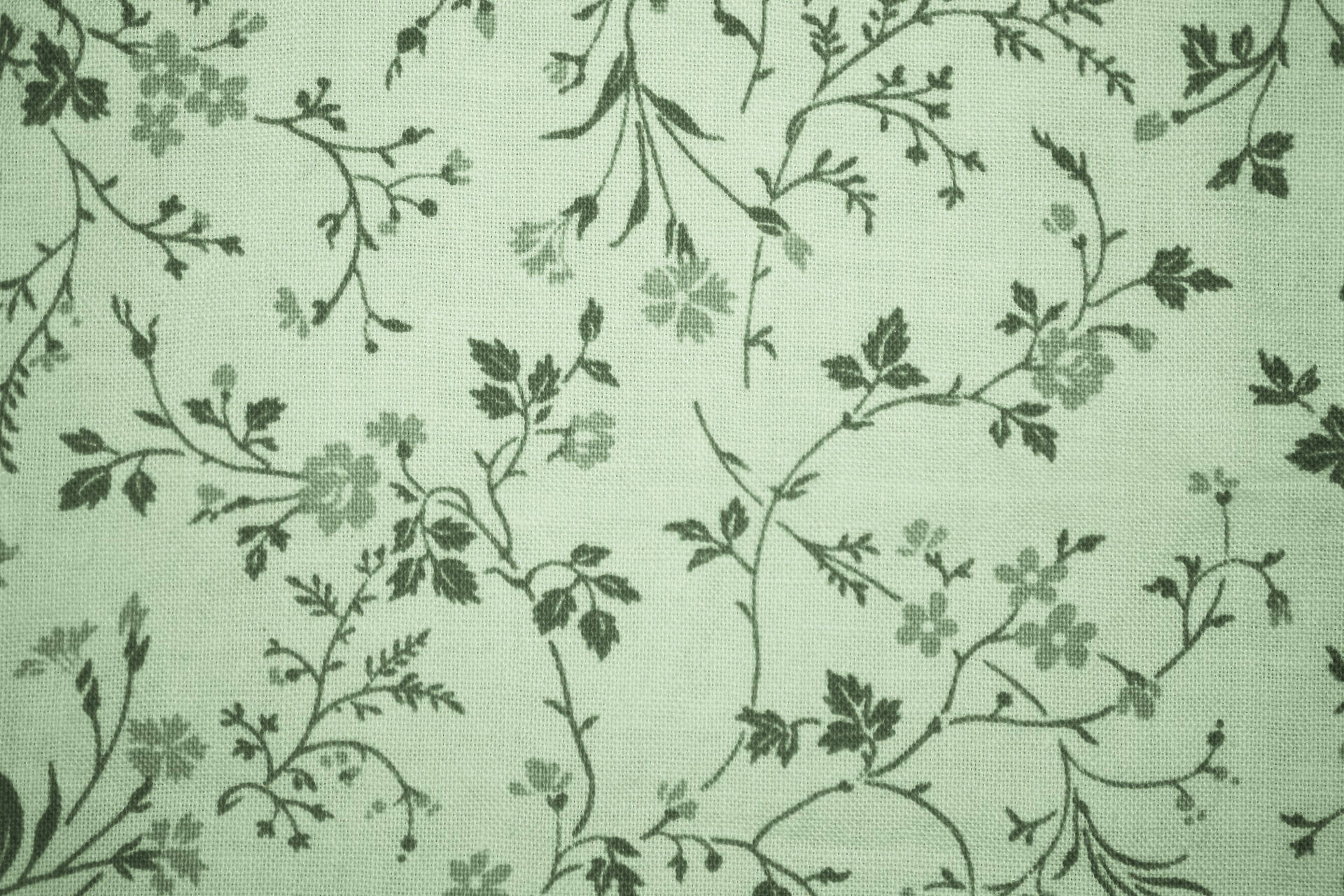 Floral Pastel Green Aesthetic Laptop Wallpaper
