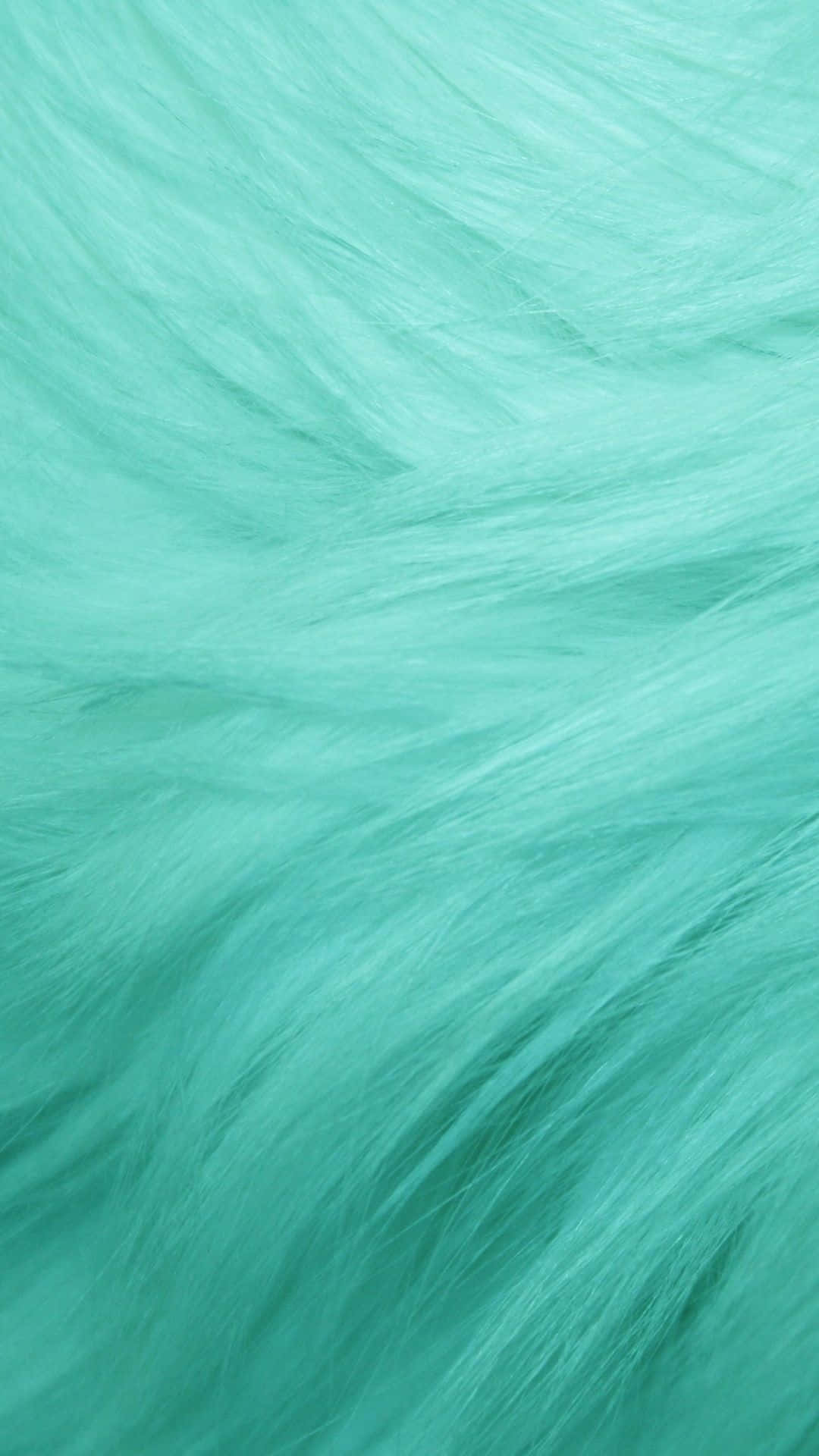 Pastel Green Background Fur Strands