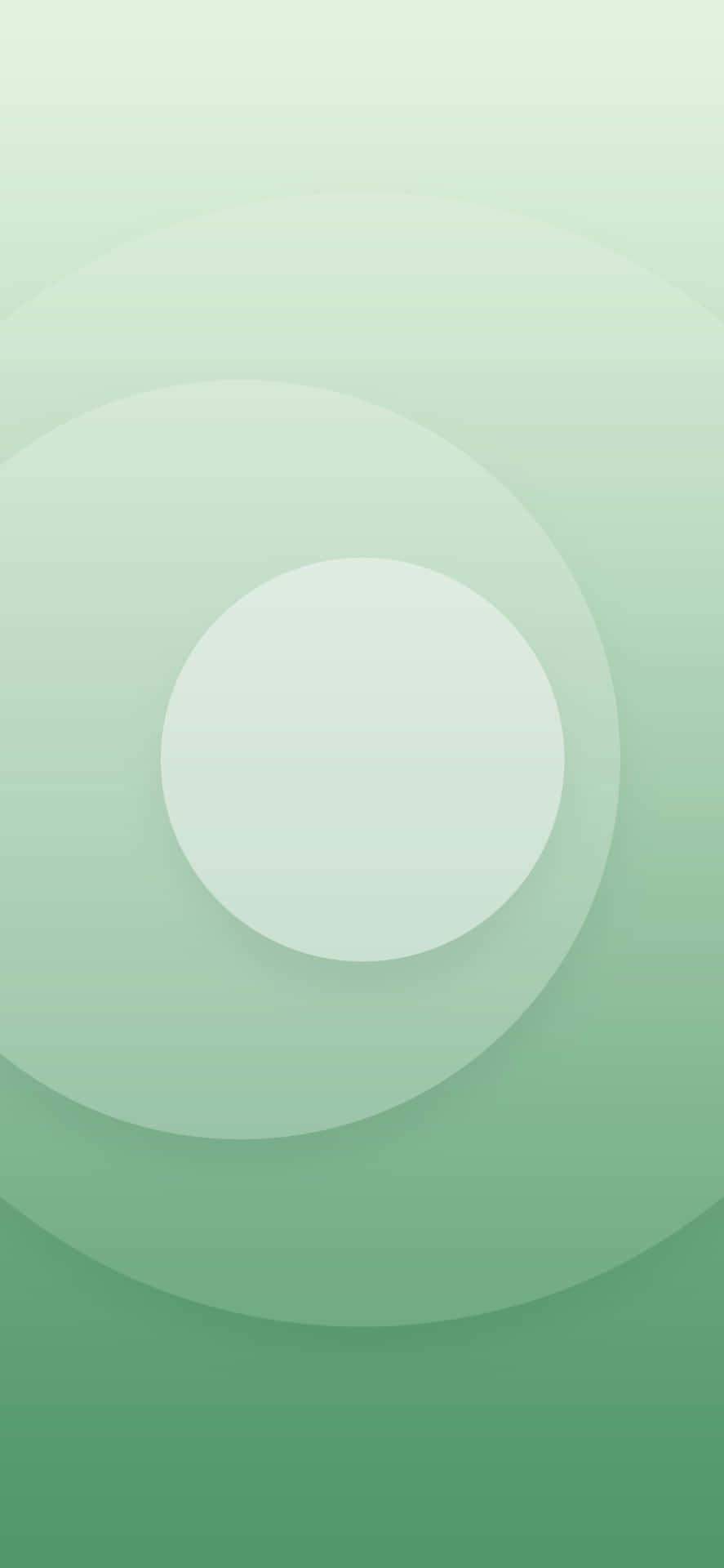 Pastel Green Background White Circle