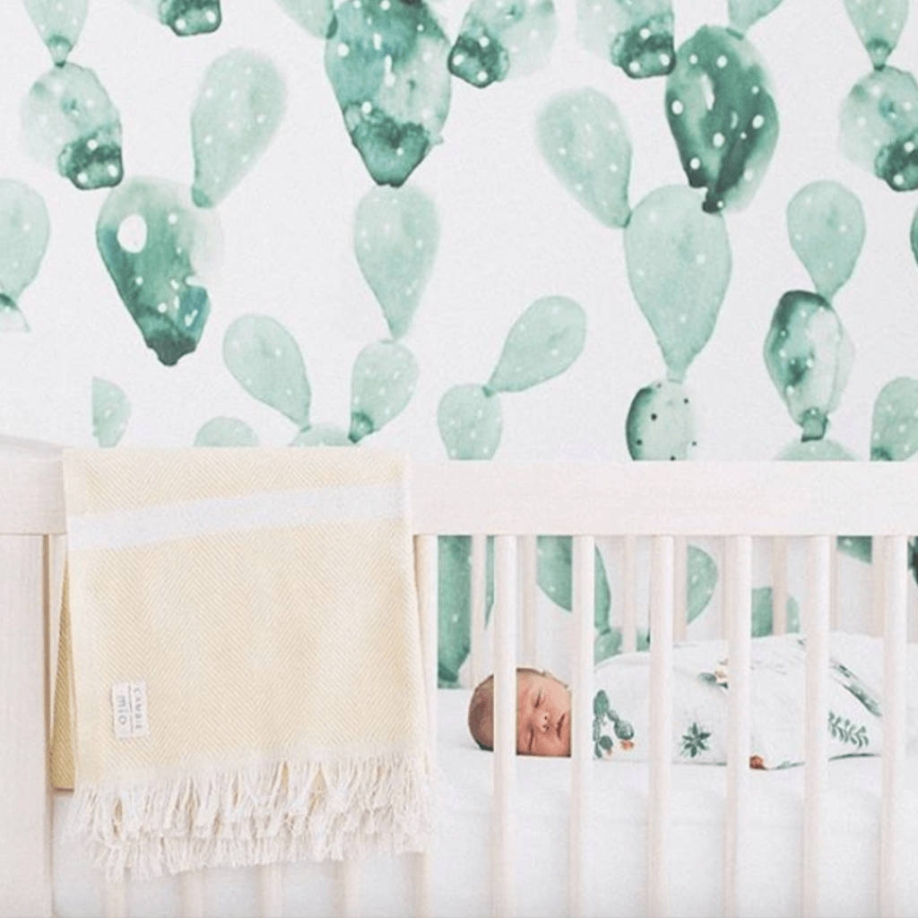 Pastel Green Cacti In A Nursery Wallpaper