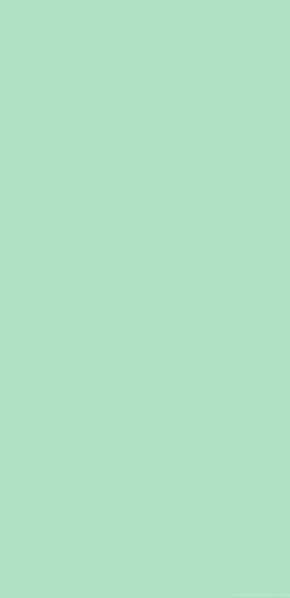 Pastel Green Color Iphone Background