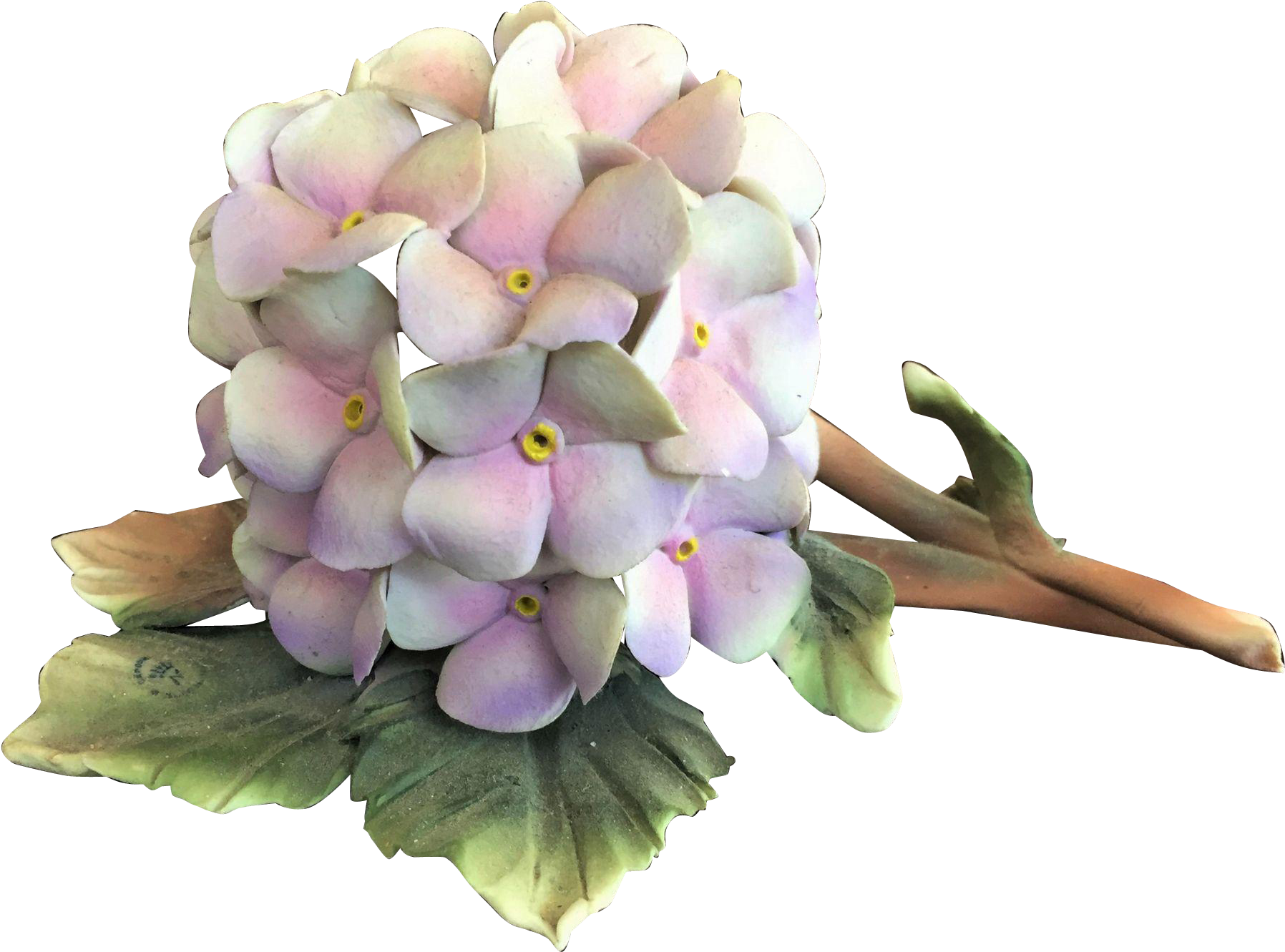 Pastel Hydrangea Bloom PNG