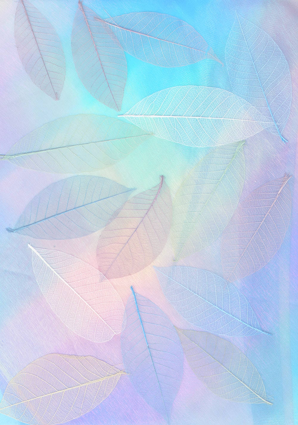 Pastel Ipad Iridescent Leaves Picture