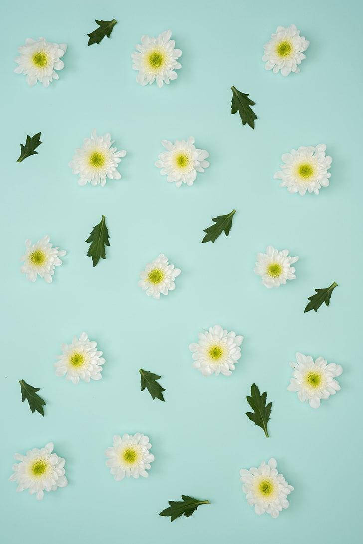 Pastel Iphone Blue Flowers Wallpaper