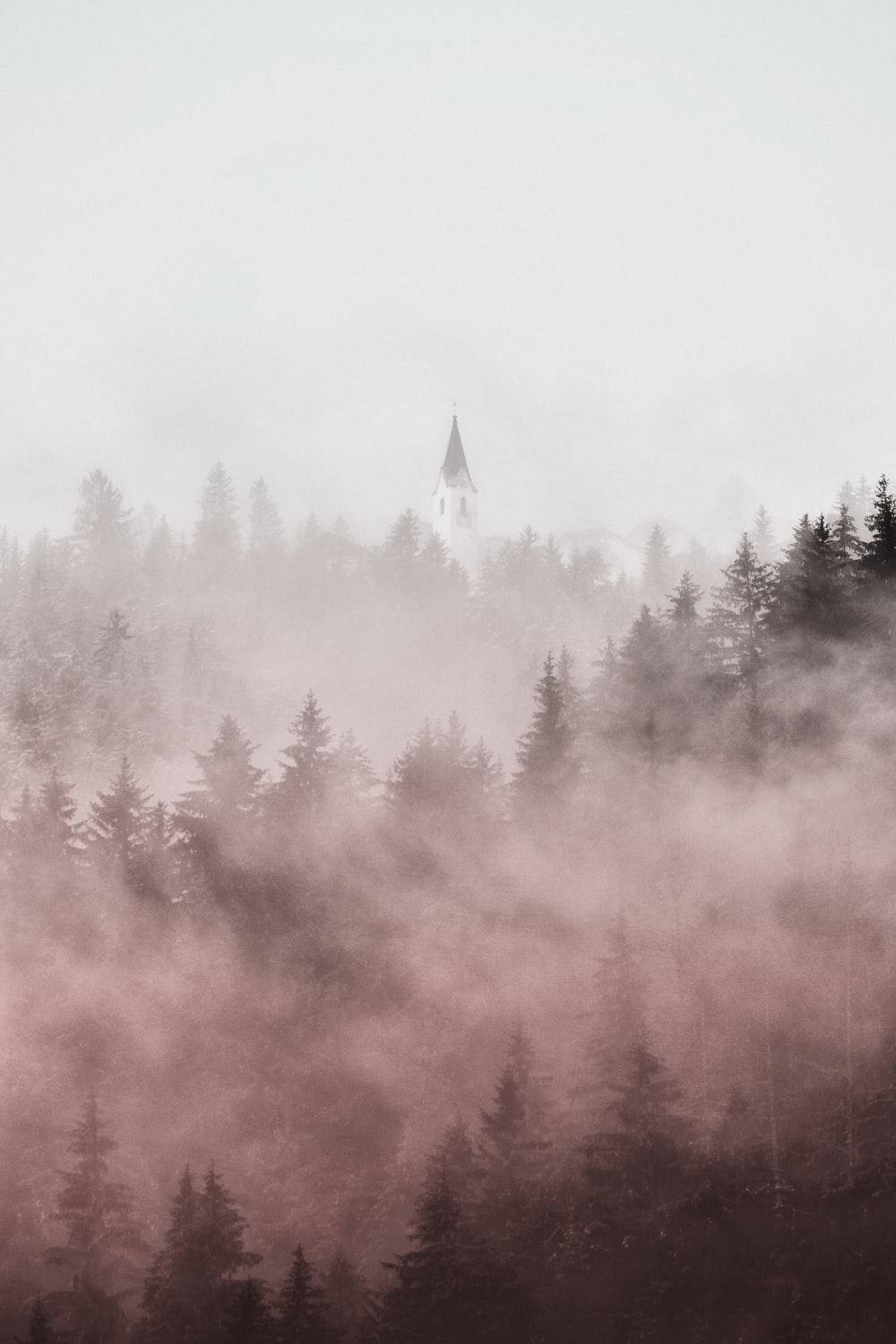 Pastel Iphone Fog Trees Wallpaper
