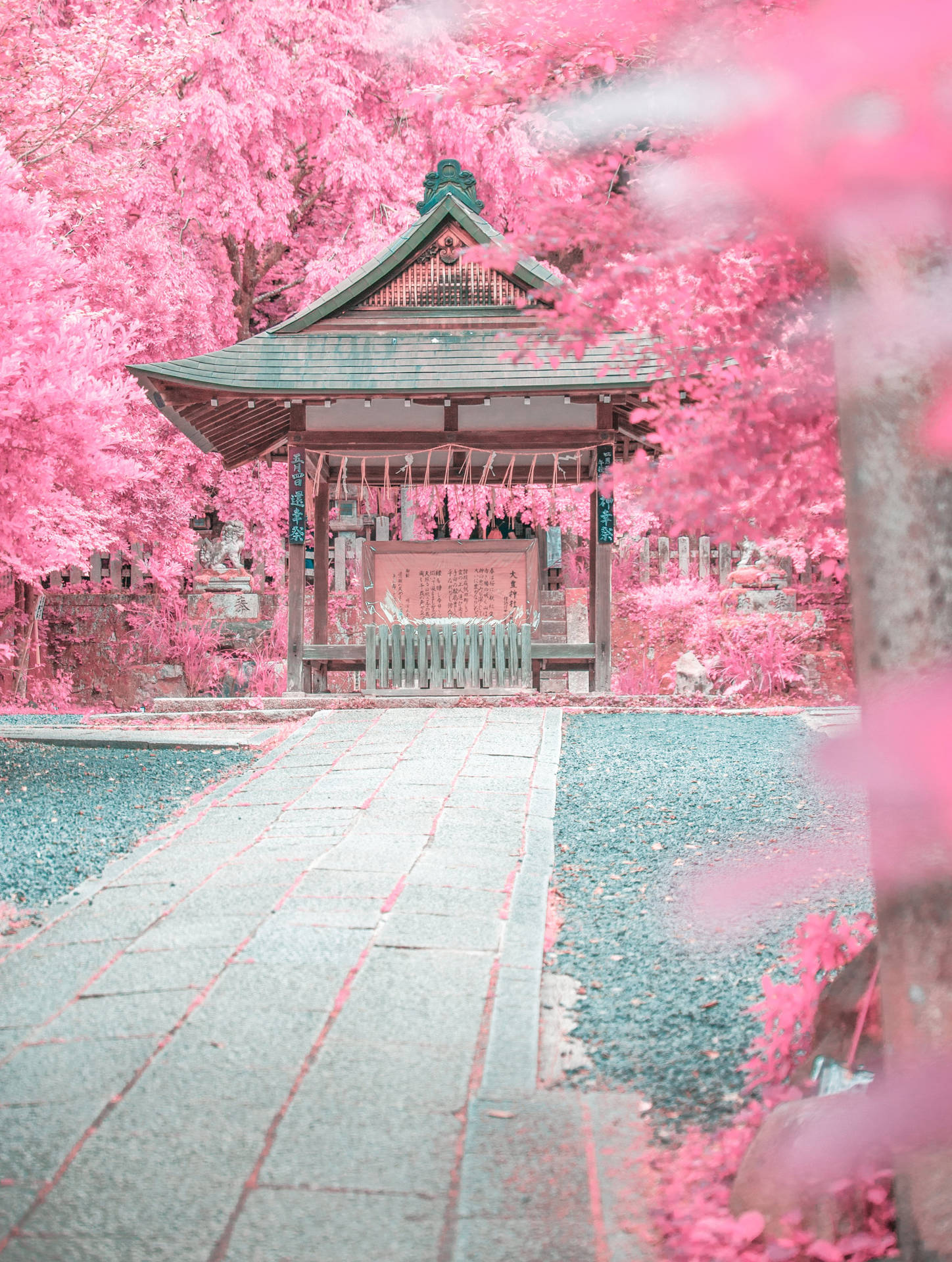 Pastel Japanese Aesthetic Of A Pink Garden Wallpaper