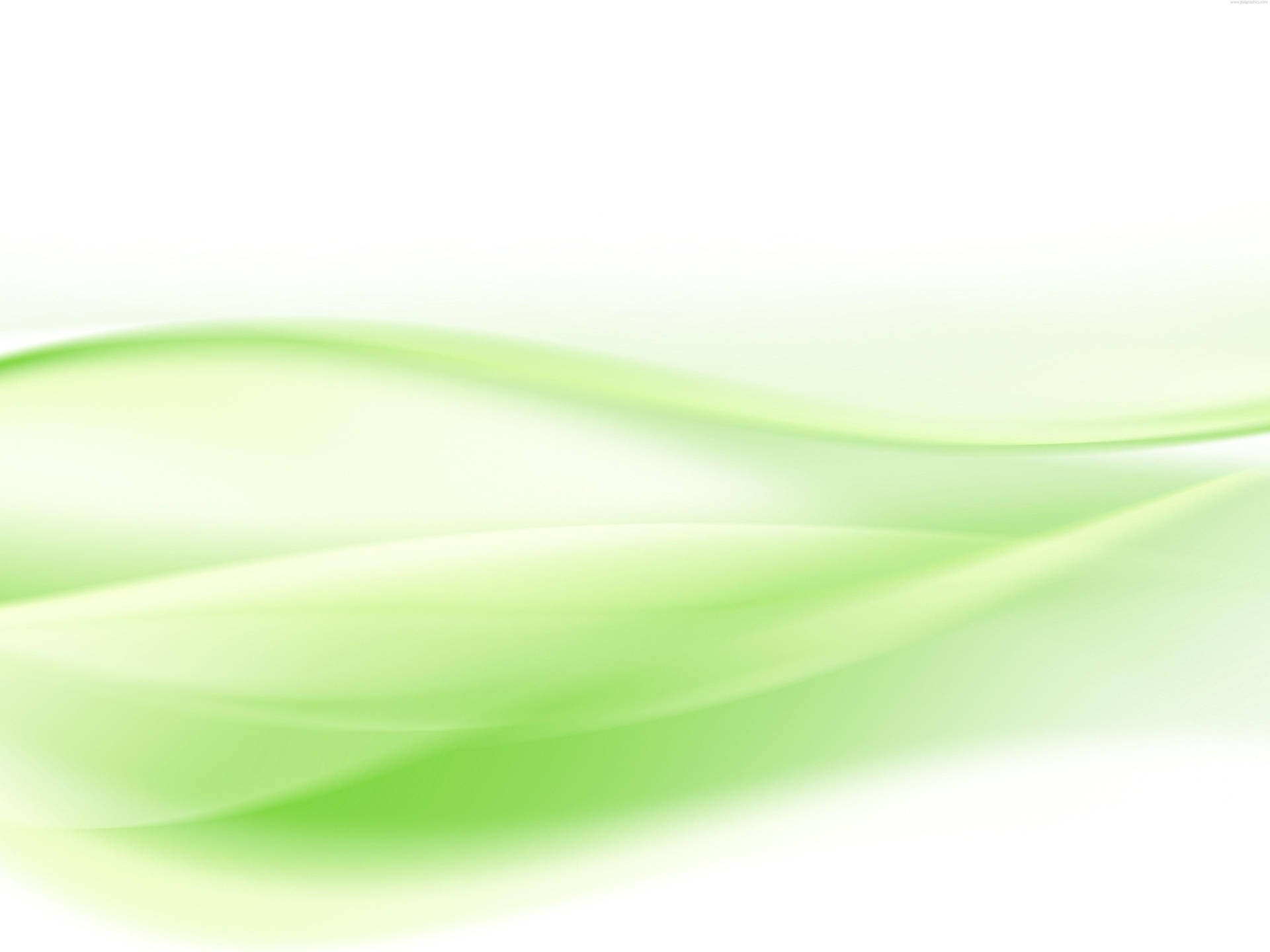 Curvaspastel De Color Verde Claro Fondo de pantalla