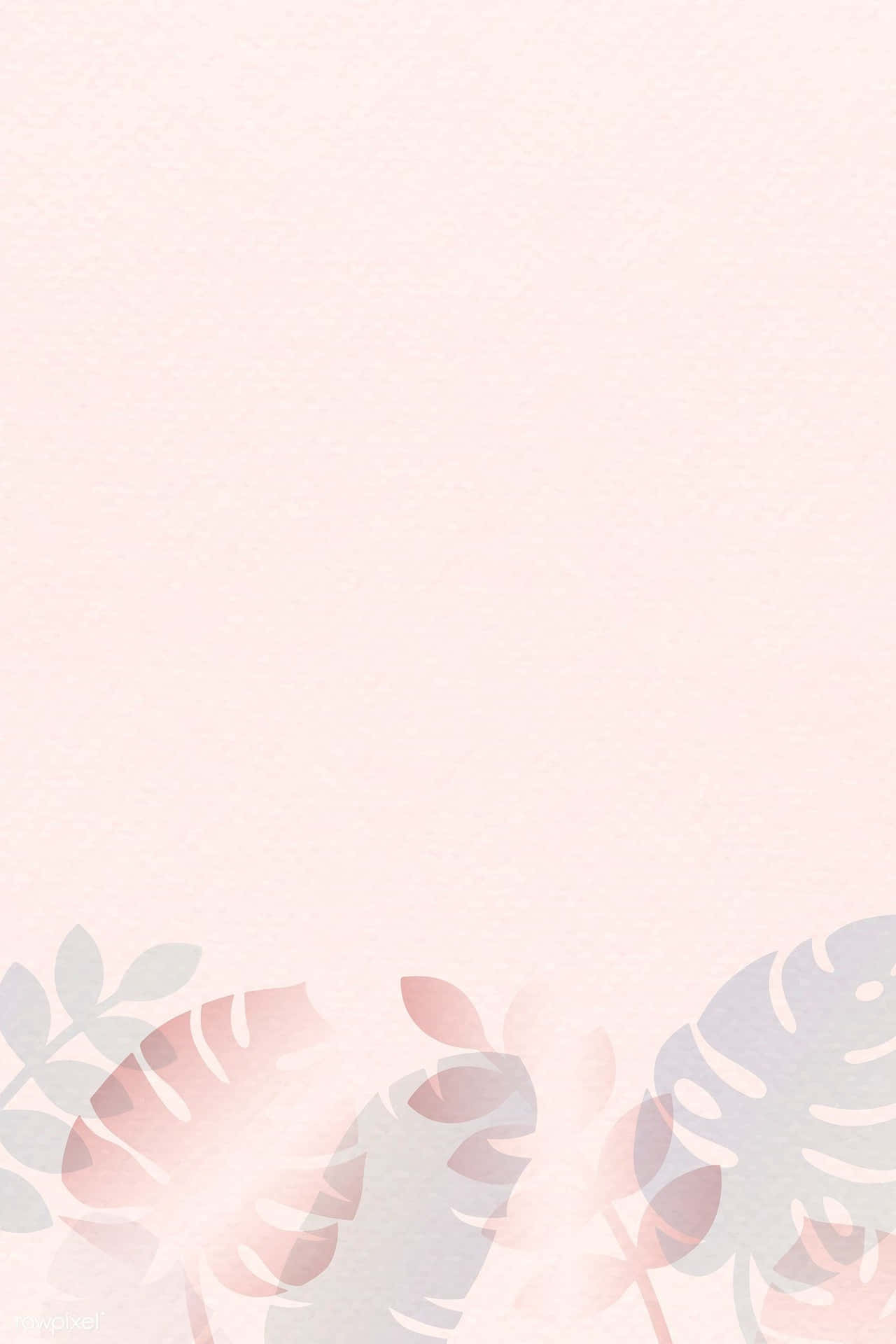 Soft and Subtle Light Pink Pastel Background