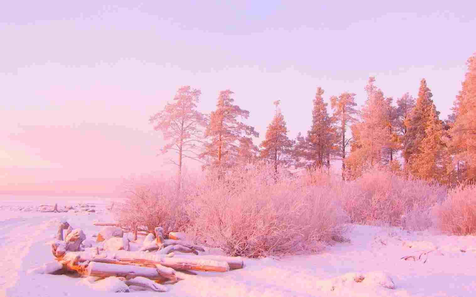 Snefuld Landskab Pastel Pink Æstetisk Computer Wallpaper: Wallpaper