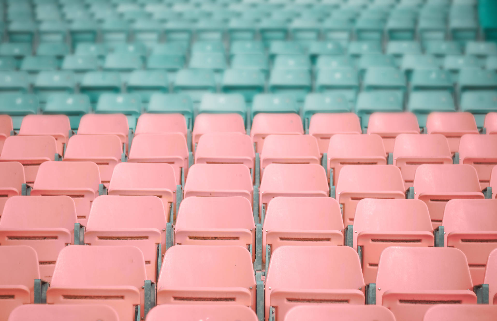 Pastel Pink And Blue Auditorium Seats