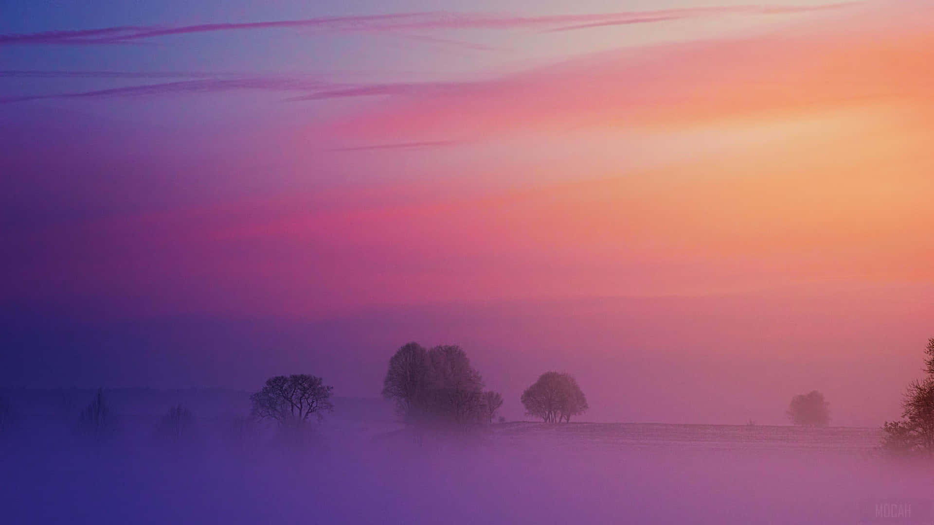 A Purple Sky With Fog And Trees Wallpaper