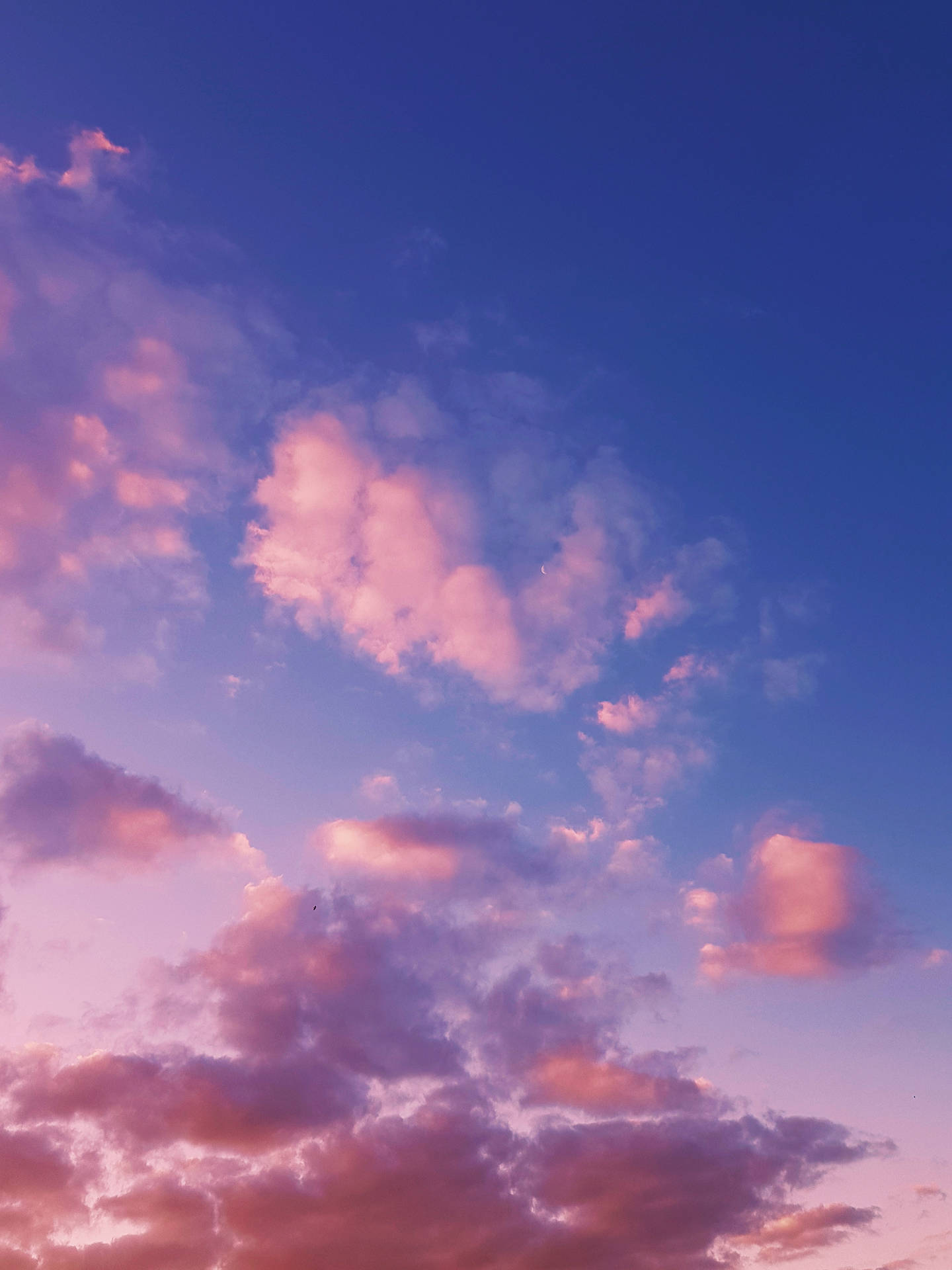 Download Pastel Pink And Rose Gold Clouds Wallpaper 