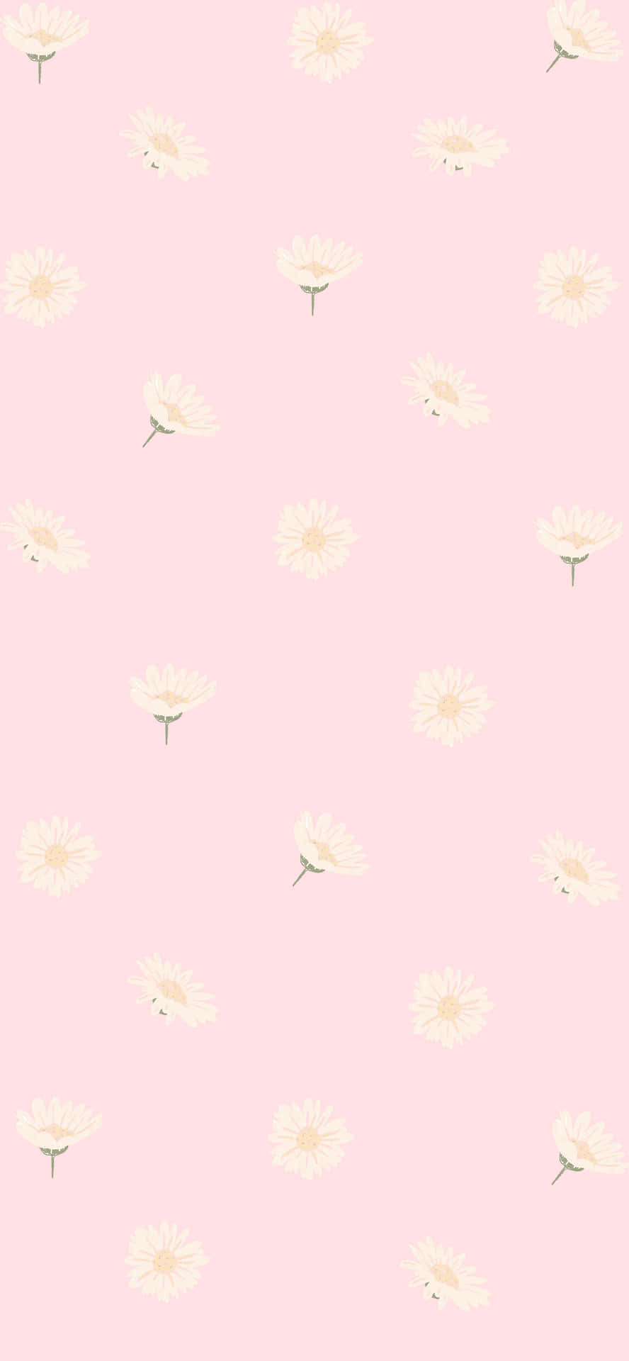 Pastel Pink Floral Pattern Wallpaper