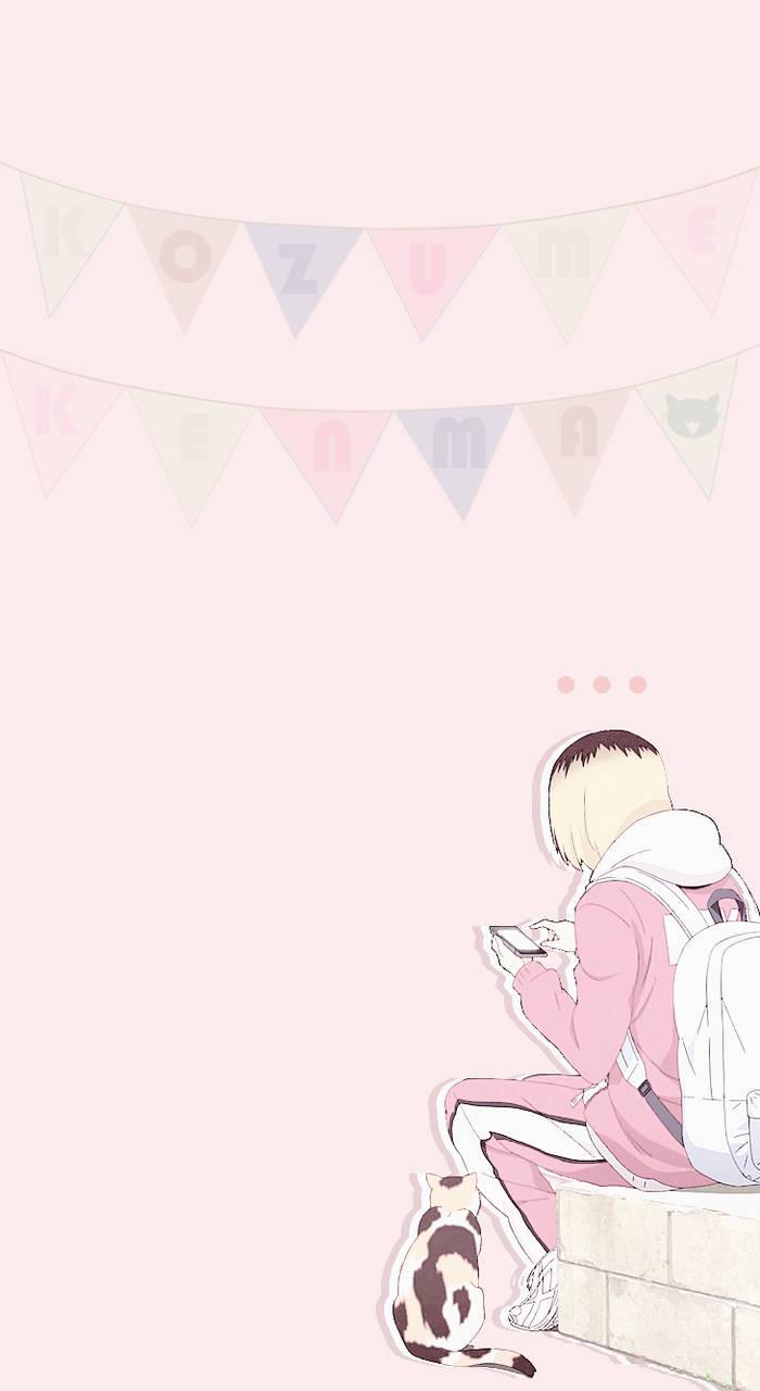 Bannerde Kenma En Color Rosa Pastel. Fondo de pantalla