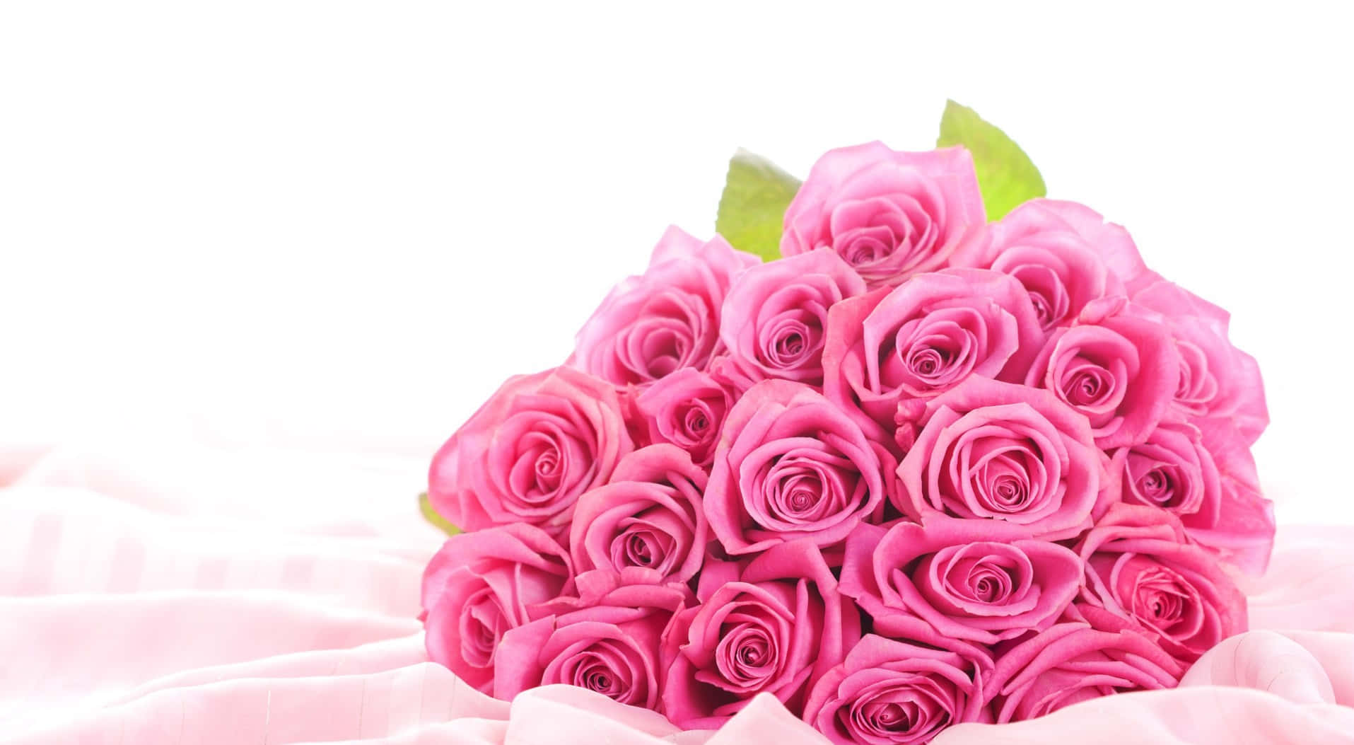 Pastel Pink Rose Bouquet Wallpaper