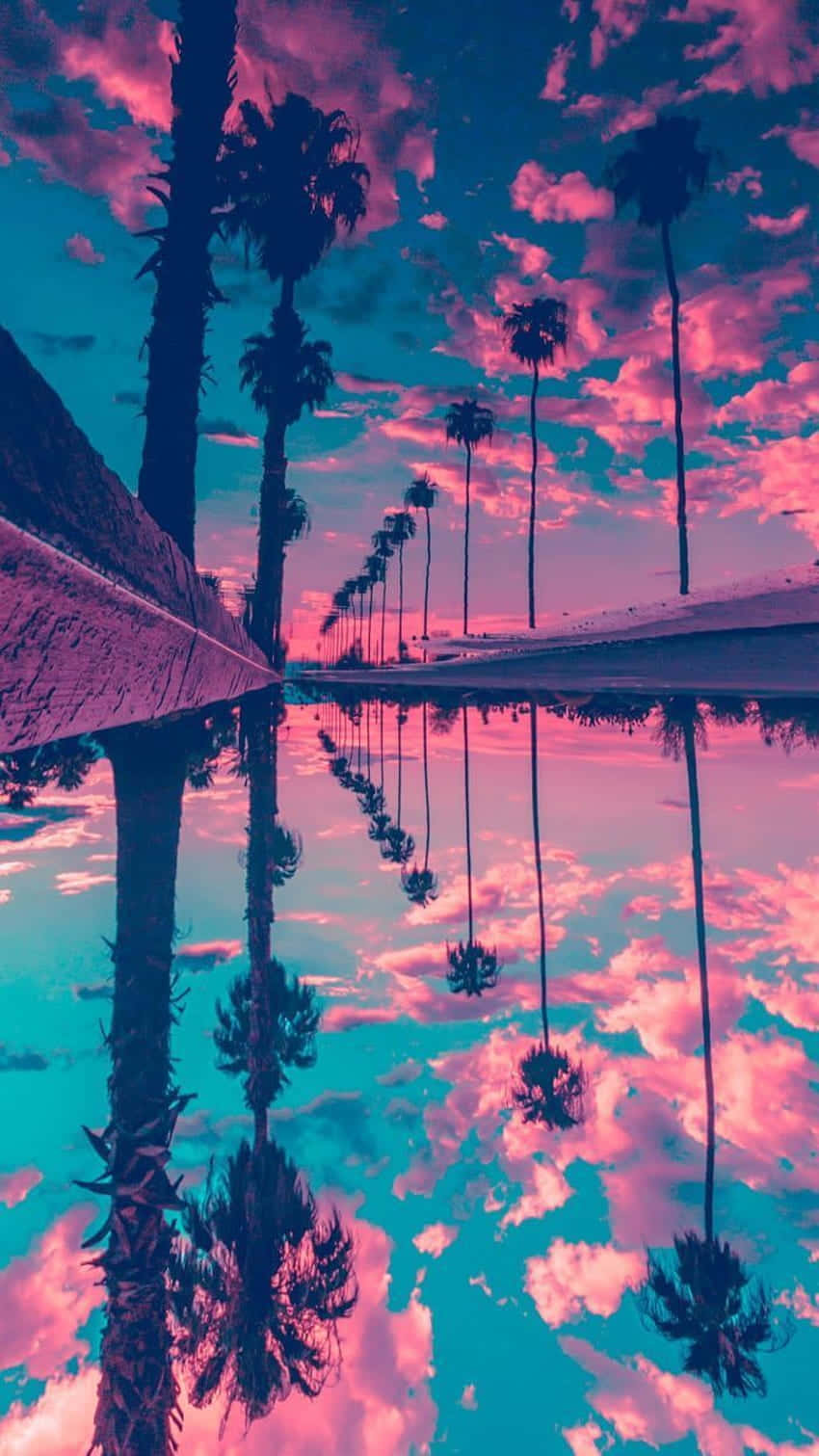 Pastel Pink Sky Palm Reflections Wallpaper