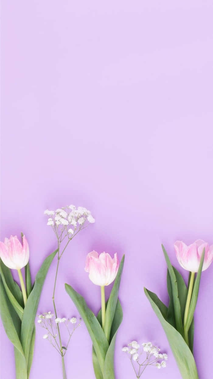 Pastel Purple Floral Arrangement Wallpaper