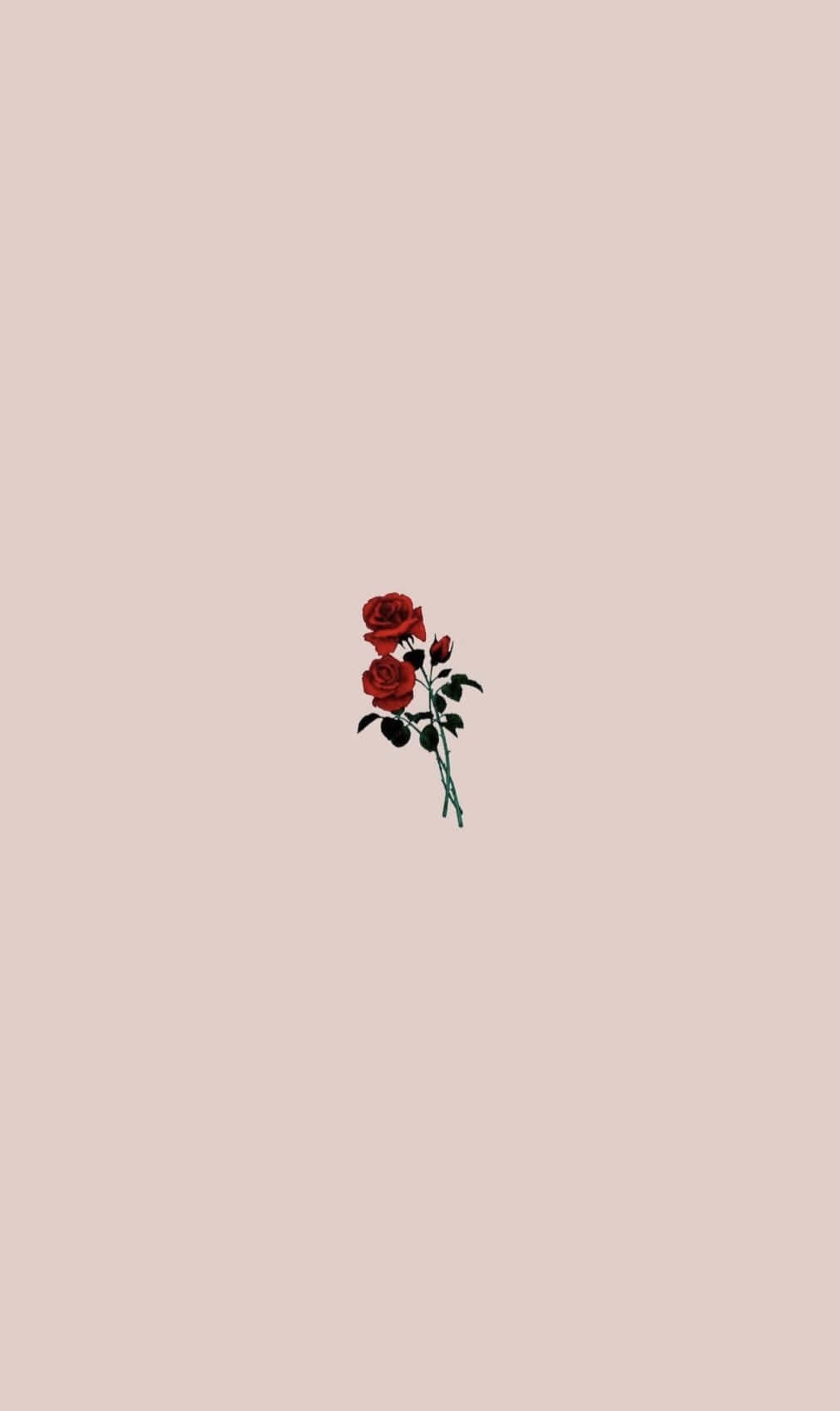 Pastel Rose Minimalism.jpg Wallpaper