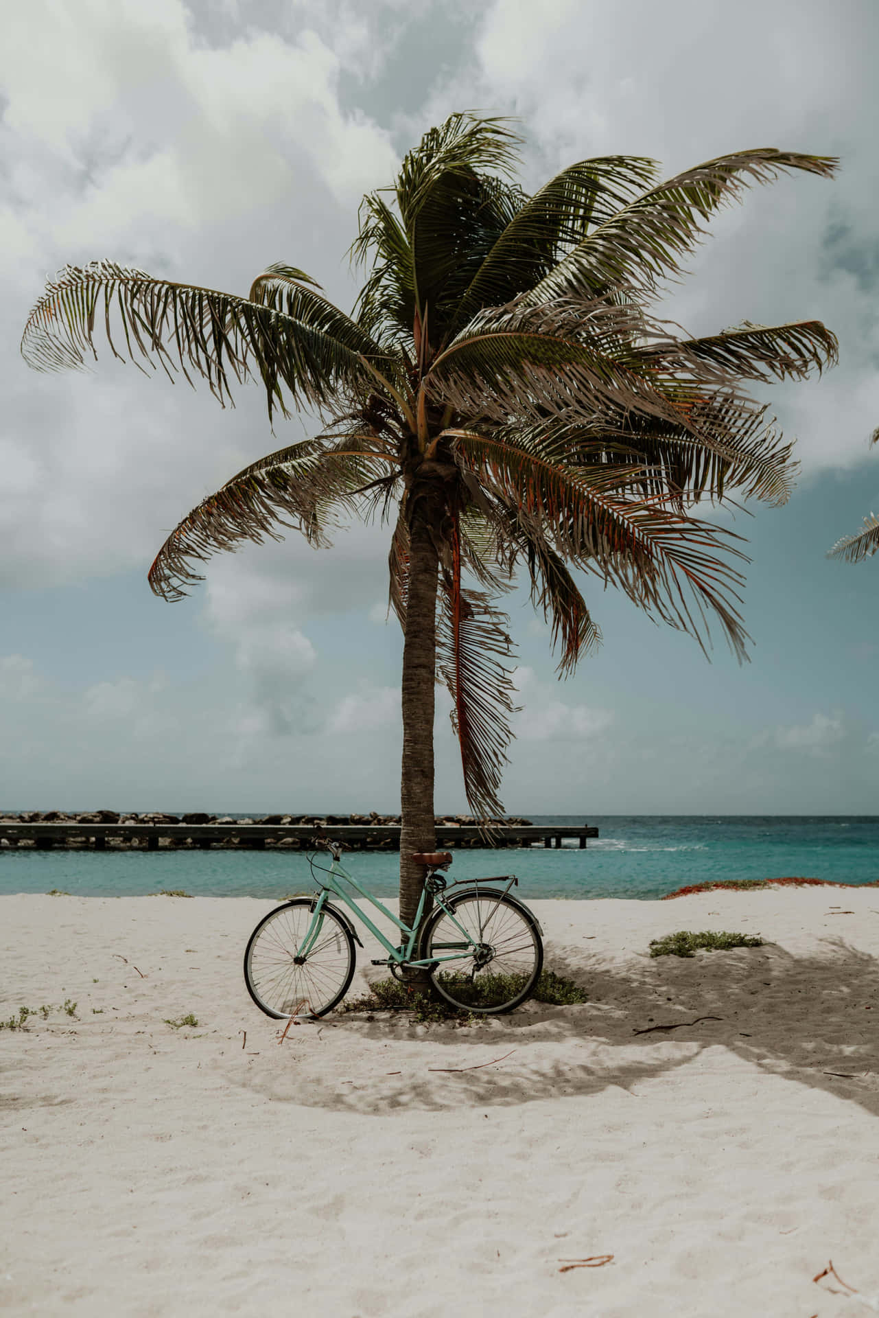 Pastel Summer Beach Bicycle Palm Tree Wallpaper