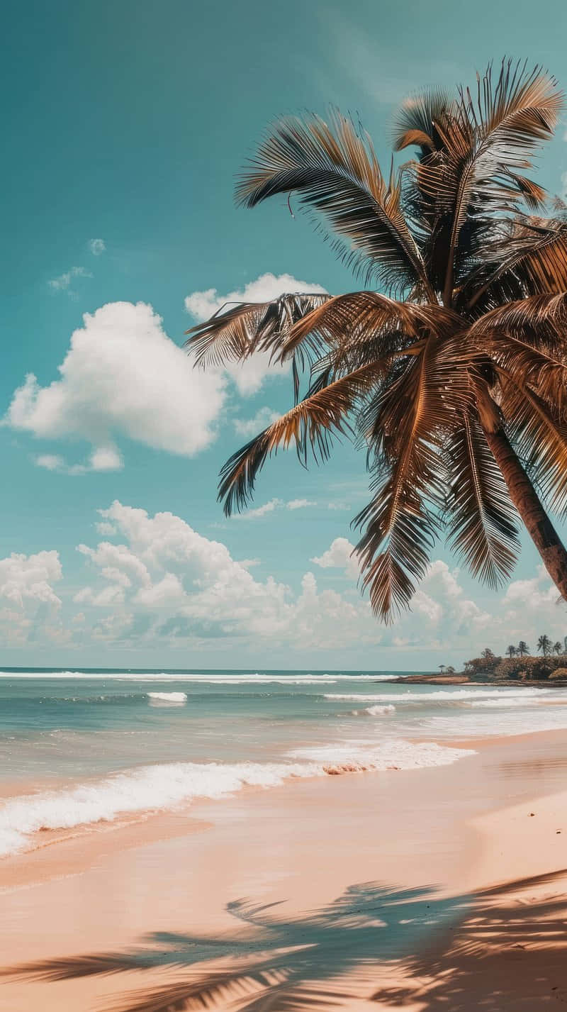 Pastel Summer Beach Palm Wallpaper