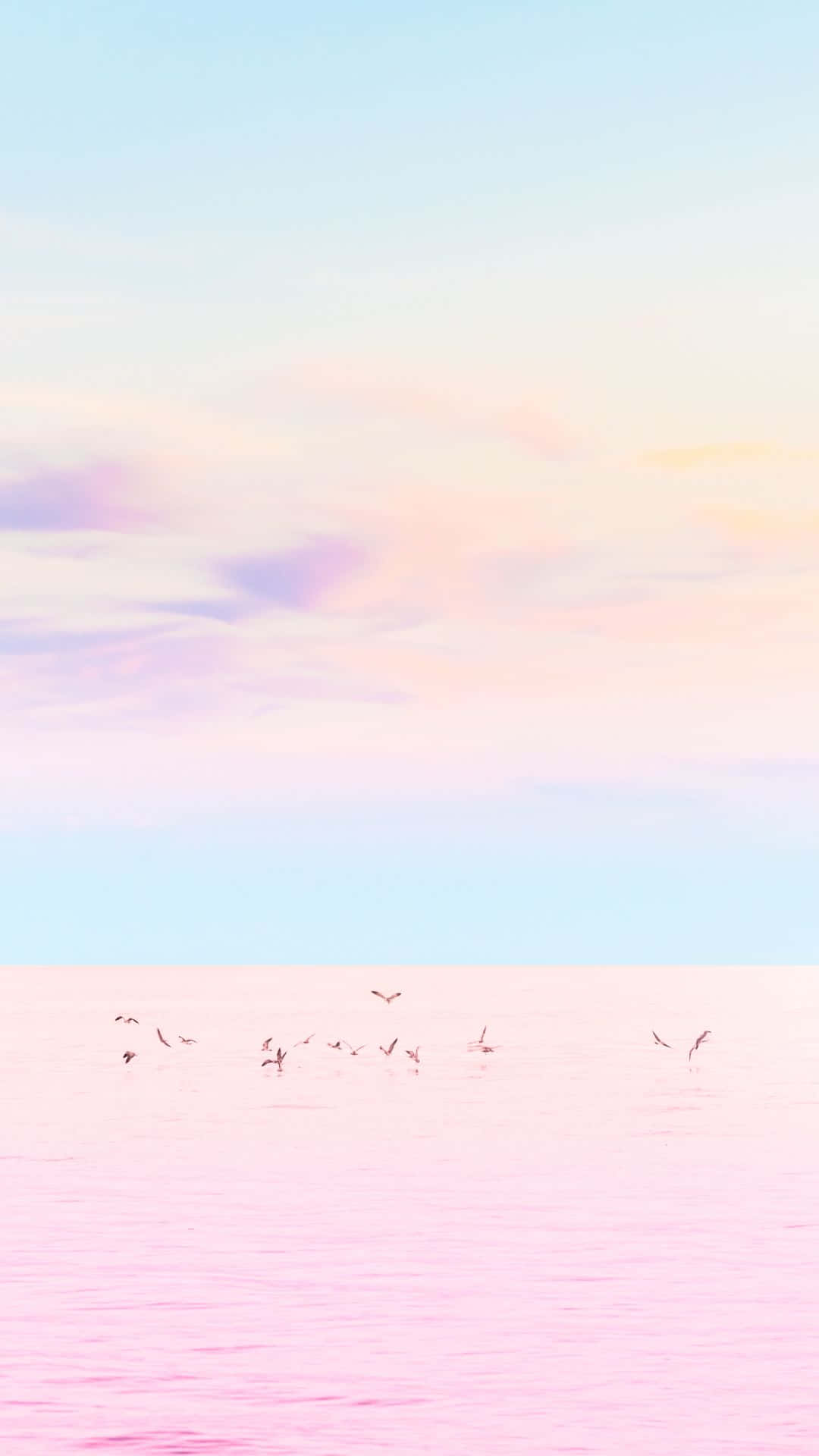 Lyserøde måger, der flyver over havet Wallpaper