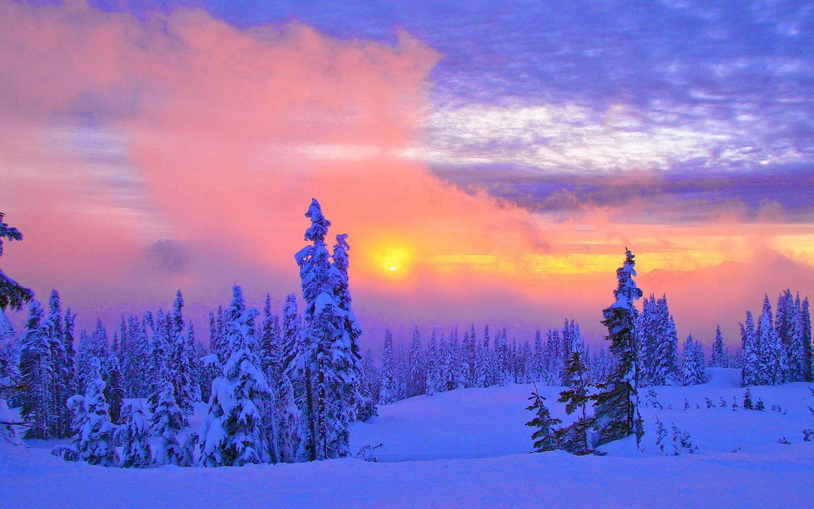 Pastel Sunset Vinter Scenery Wallpaper