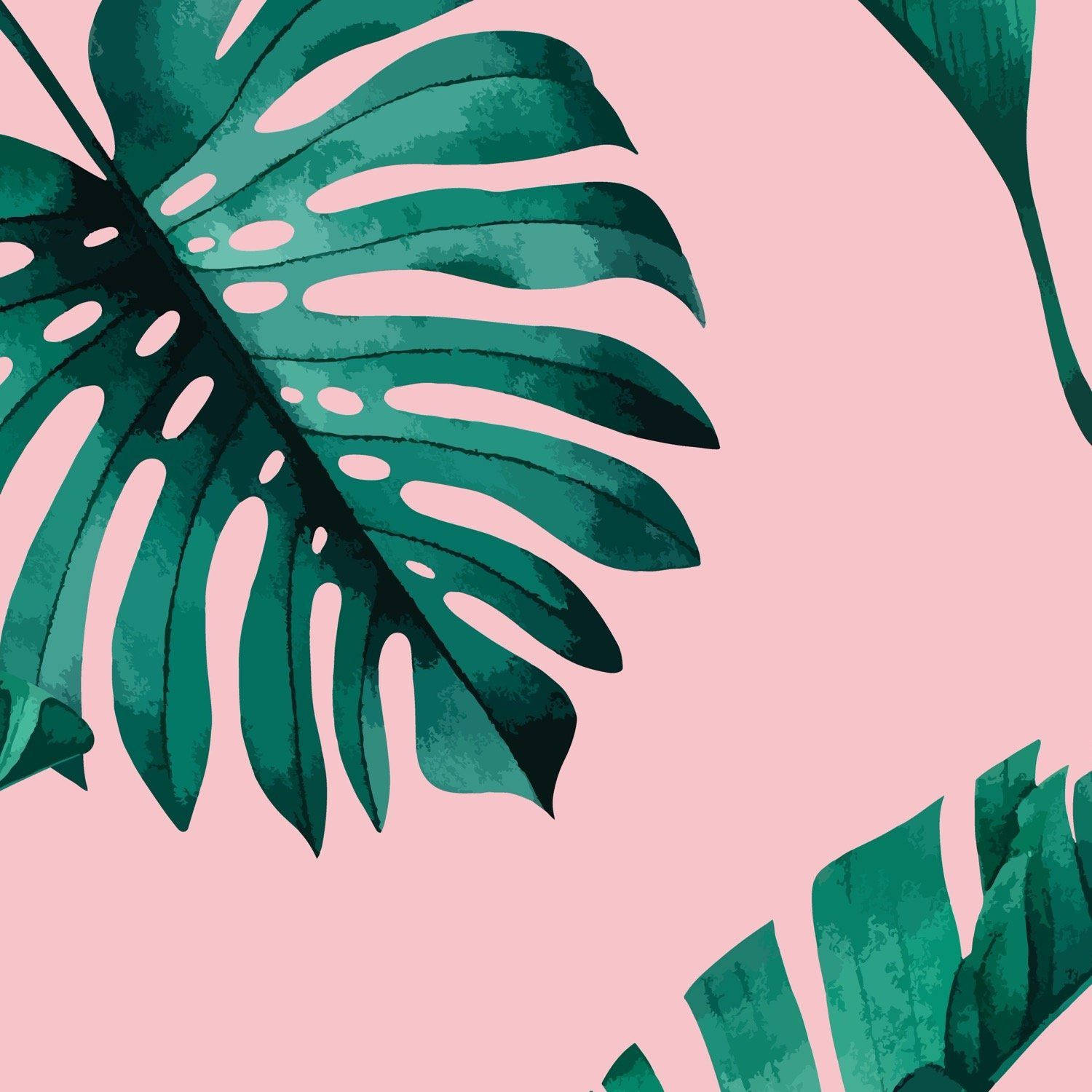 A Tropical Leaf Pattern On A Pink Background Wallpaper