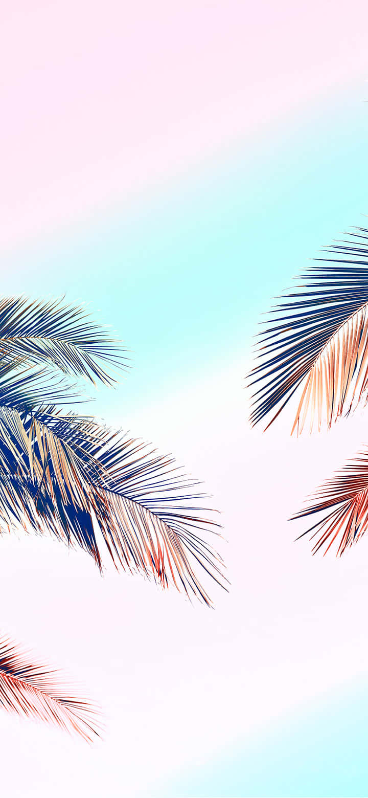 Pastel Toned Palm Fronds Background Wallpaper