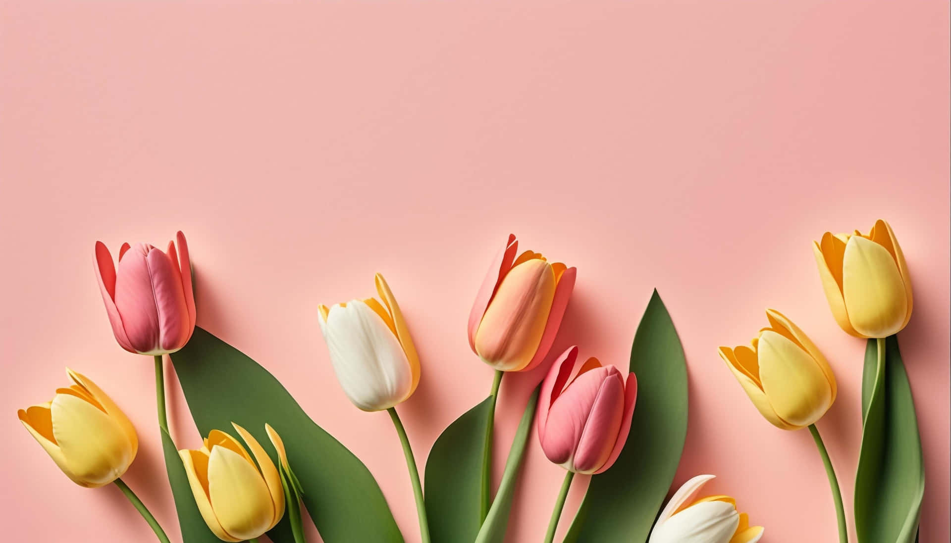 Pastel_ Tulips_ Arrangement Wallpaper