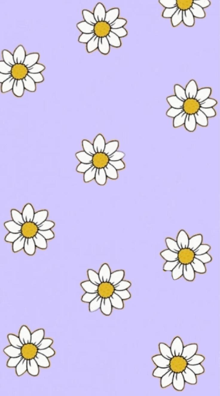 Pastel Violet Illustration Af Hvide Daisy Iphone Wallpaper Wallpaper