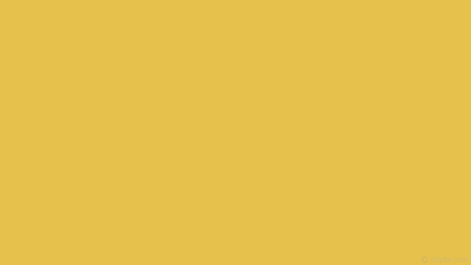 Umlaptop Amarelo Pastel Em Um Fundo Branco Papel de Parede