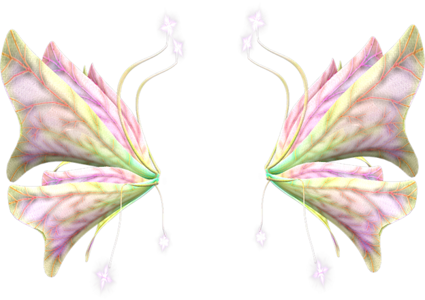 Pastel_ Fairy_ Wings_ Symmetrical_ Design.png PNG