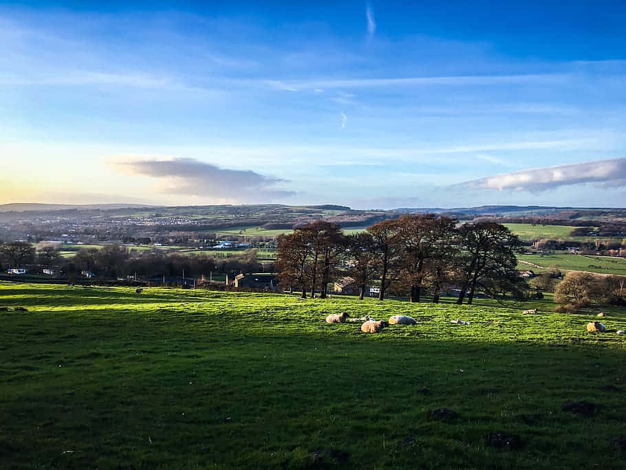 Pastoral Landscape Wakefield U K Wallpaper