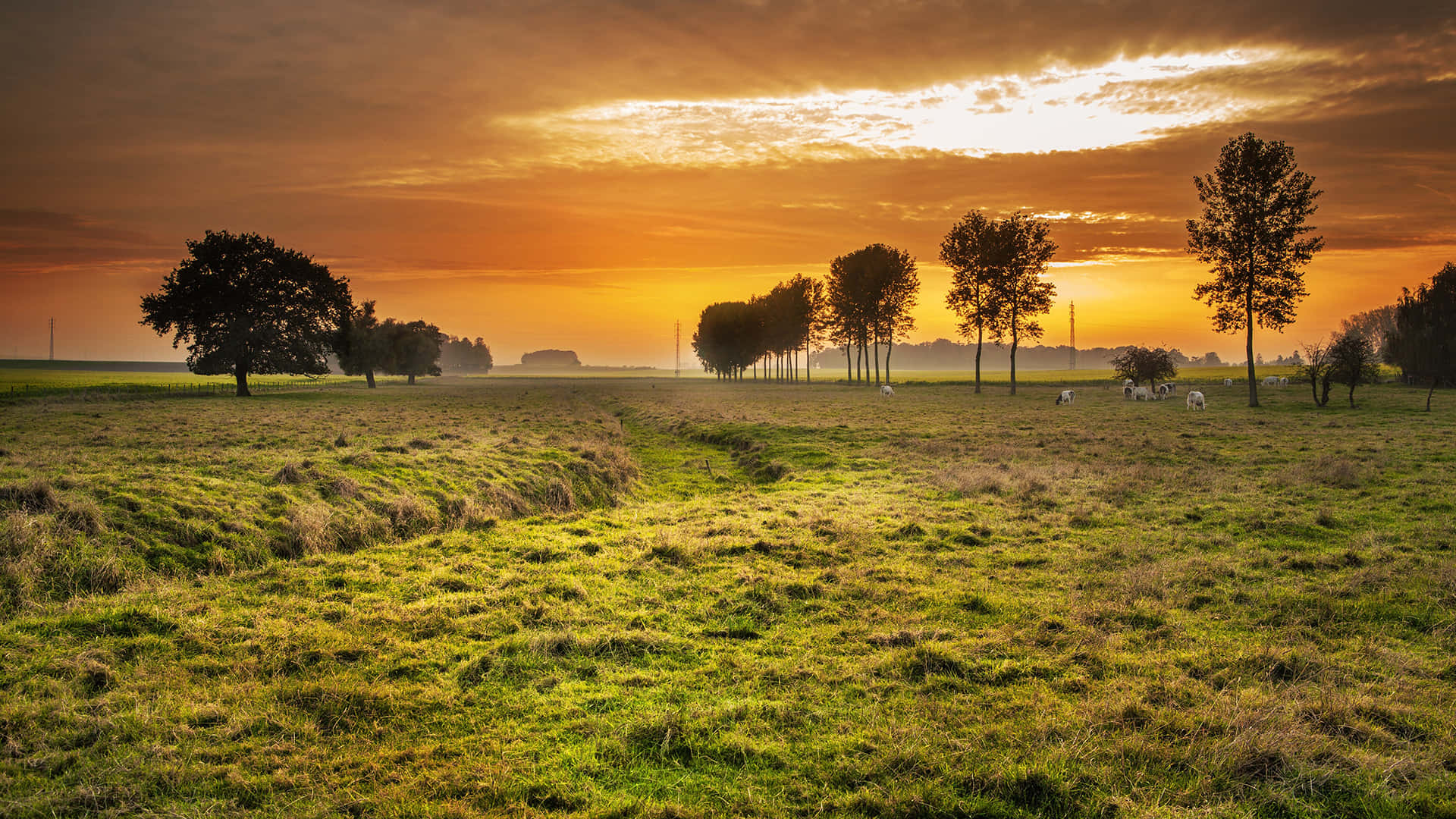 Pasture In English Countryside At Sunset Background