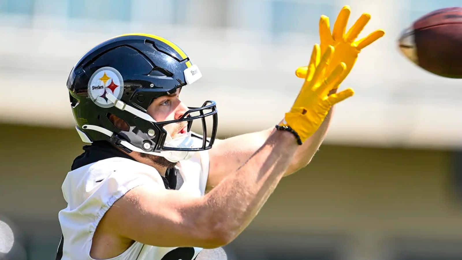 Pat Freiermuth Steelers Training Catch Wallpaper