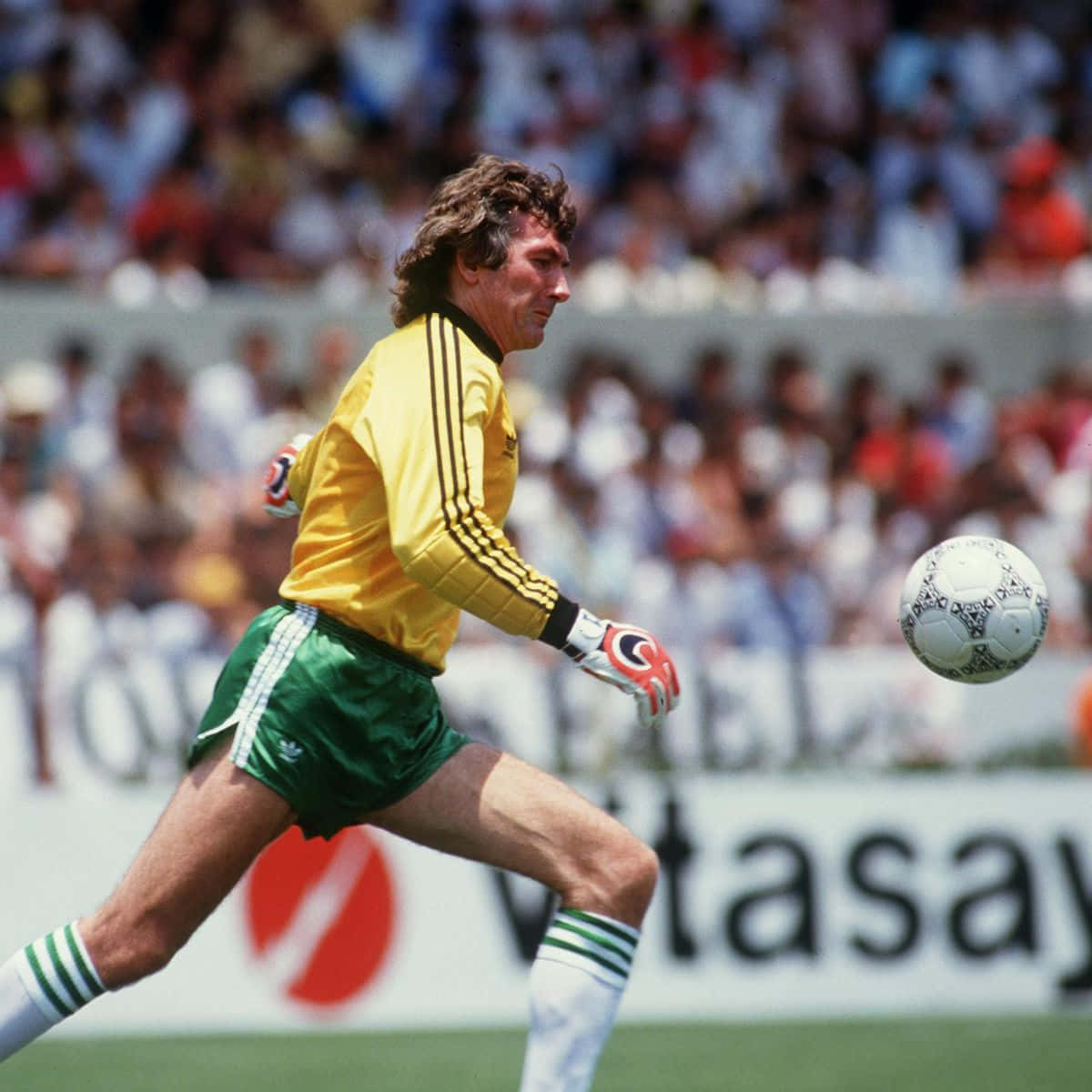Pat Jennings 1986 Fifa World Cup Picture