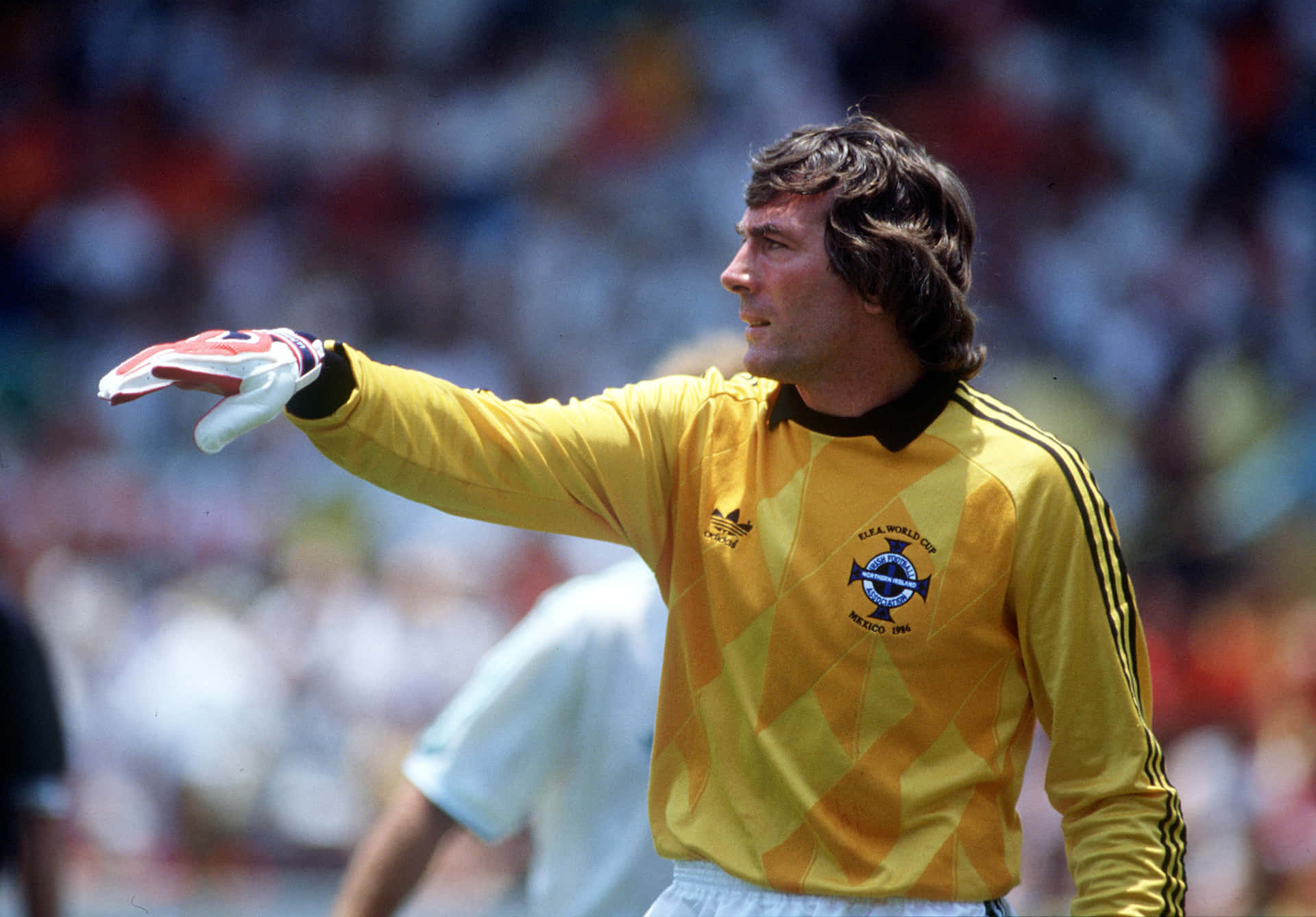 Pat Jennings ved FIFA World Cup Mexico 1986. Wallpaper